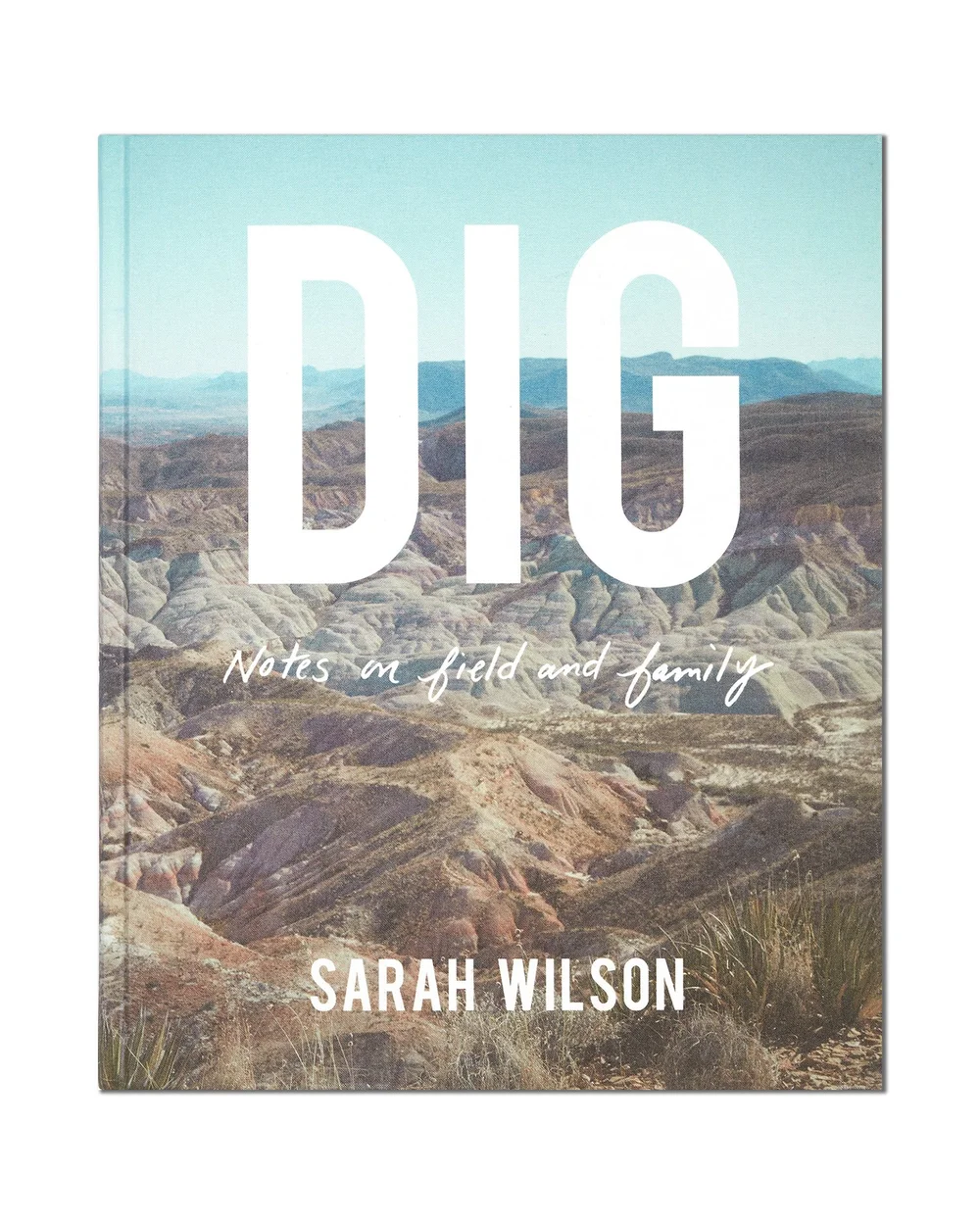 Dig Sarah Wilson Yoffy Press