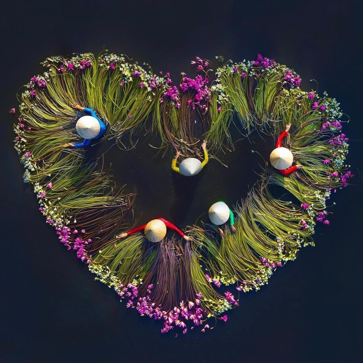 @ptkhanhhvnh wins the ❤️ day