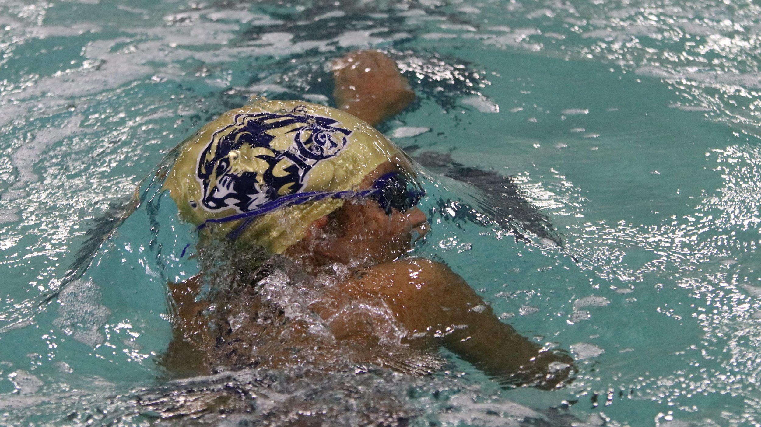 Swim_Dec14996.jpg