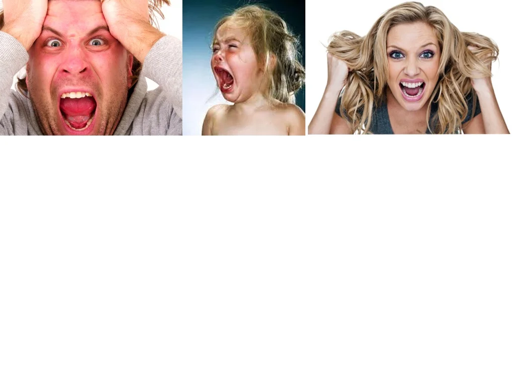 UpsetFamily.jpg