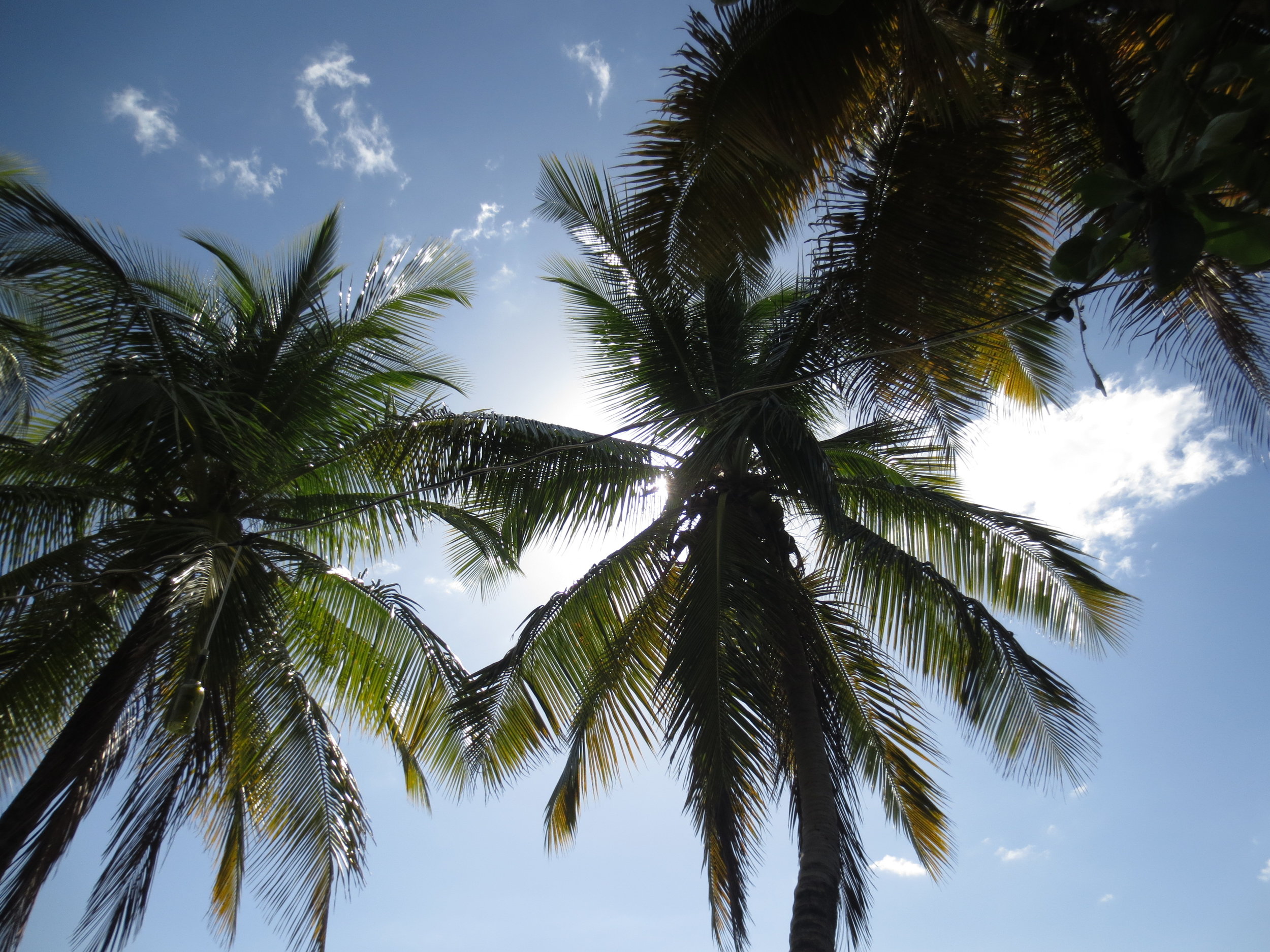 Dominica really is beautiful.&nbsp;