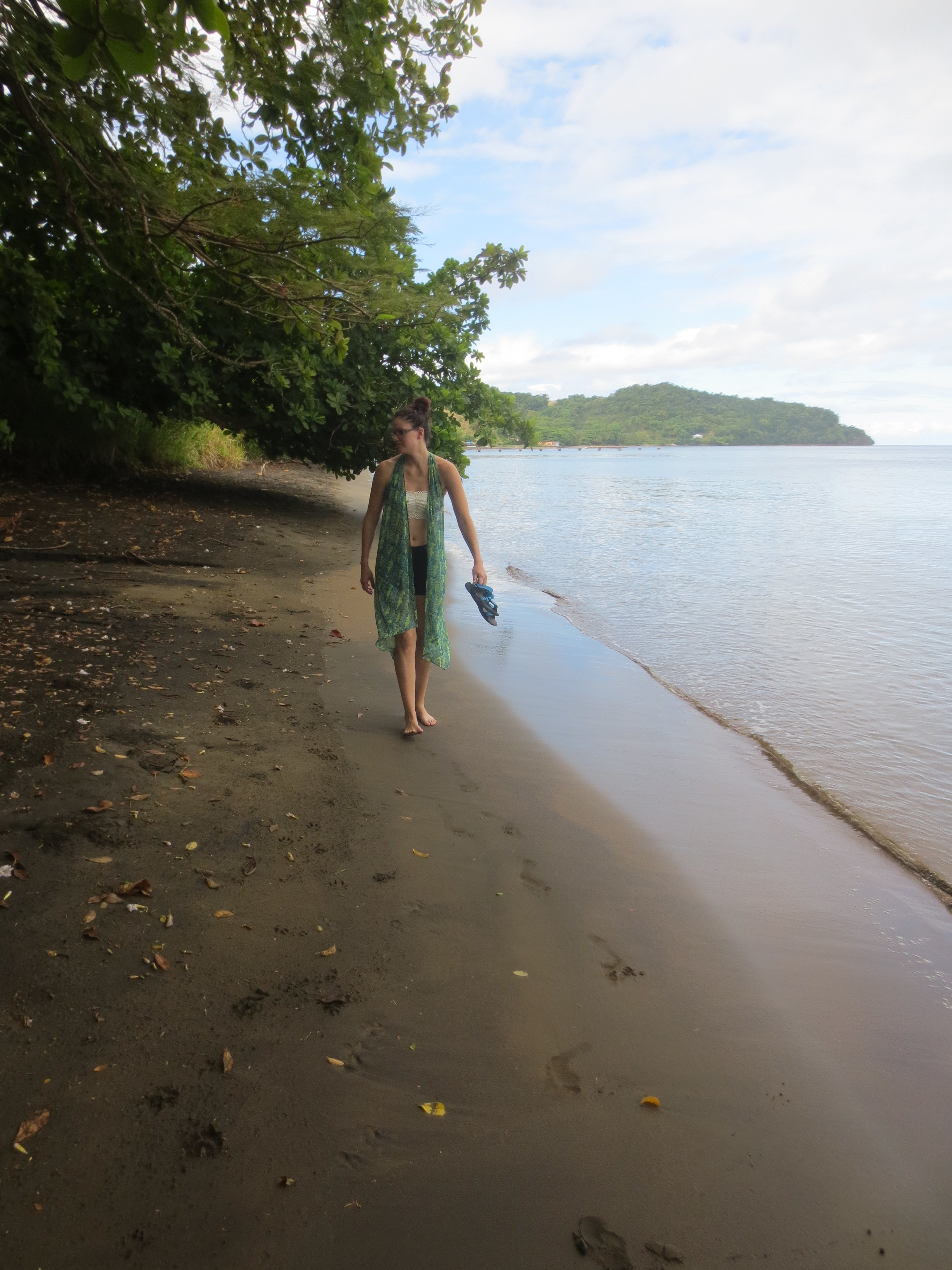 Our usual beach walk with Domi 