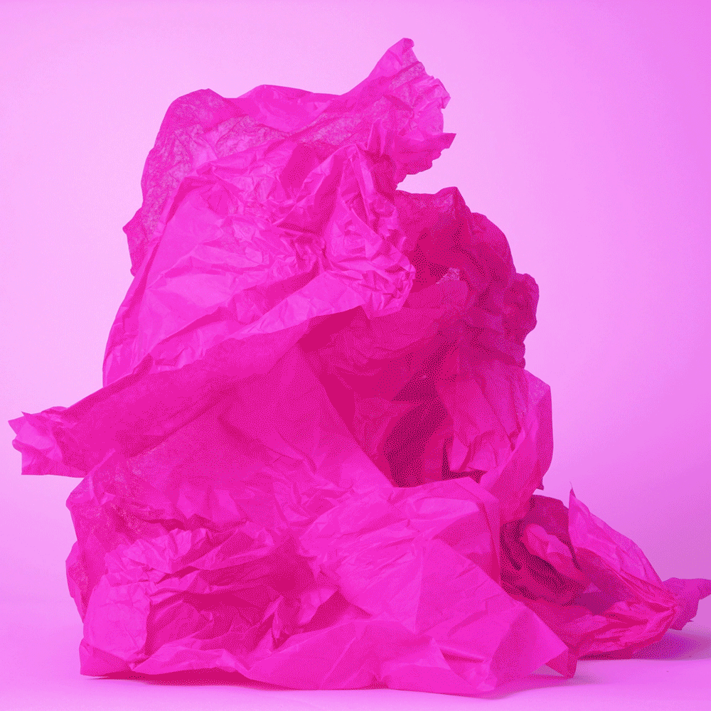 Slutbox-Shipping-pink-1000.gif