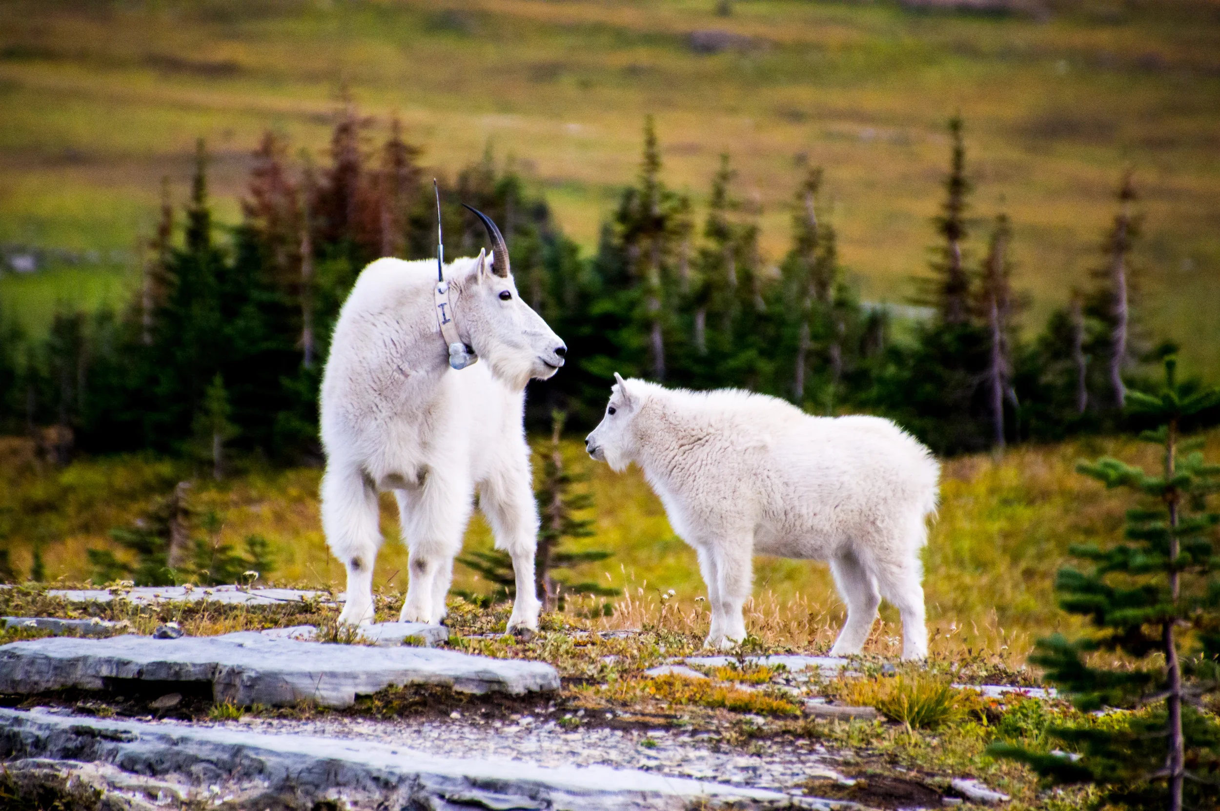 DSC_0124_170045.jpg