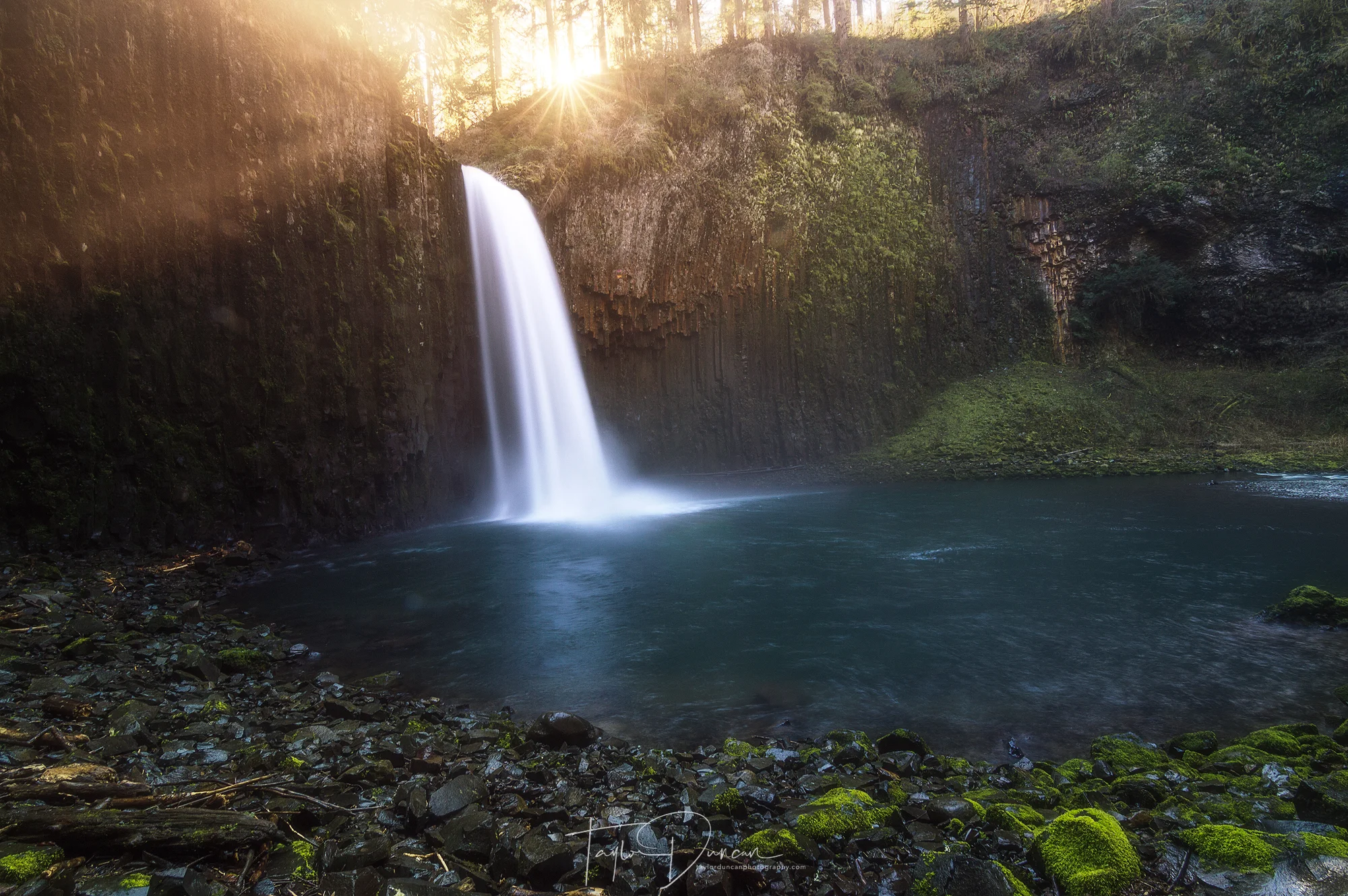 Abiqua Star