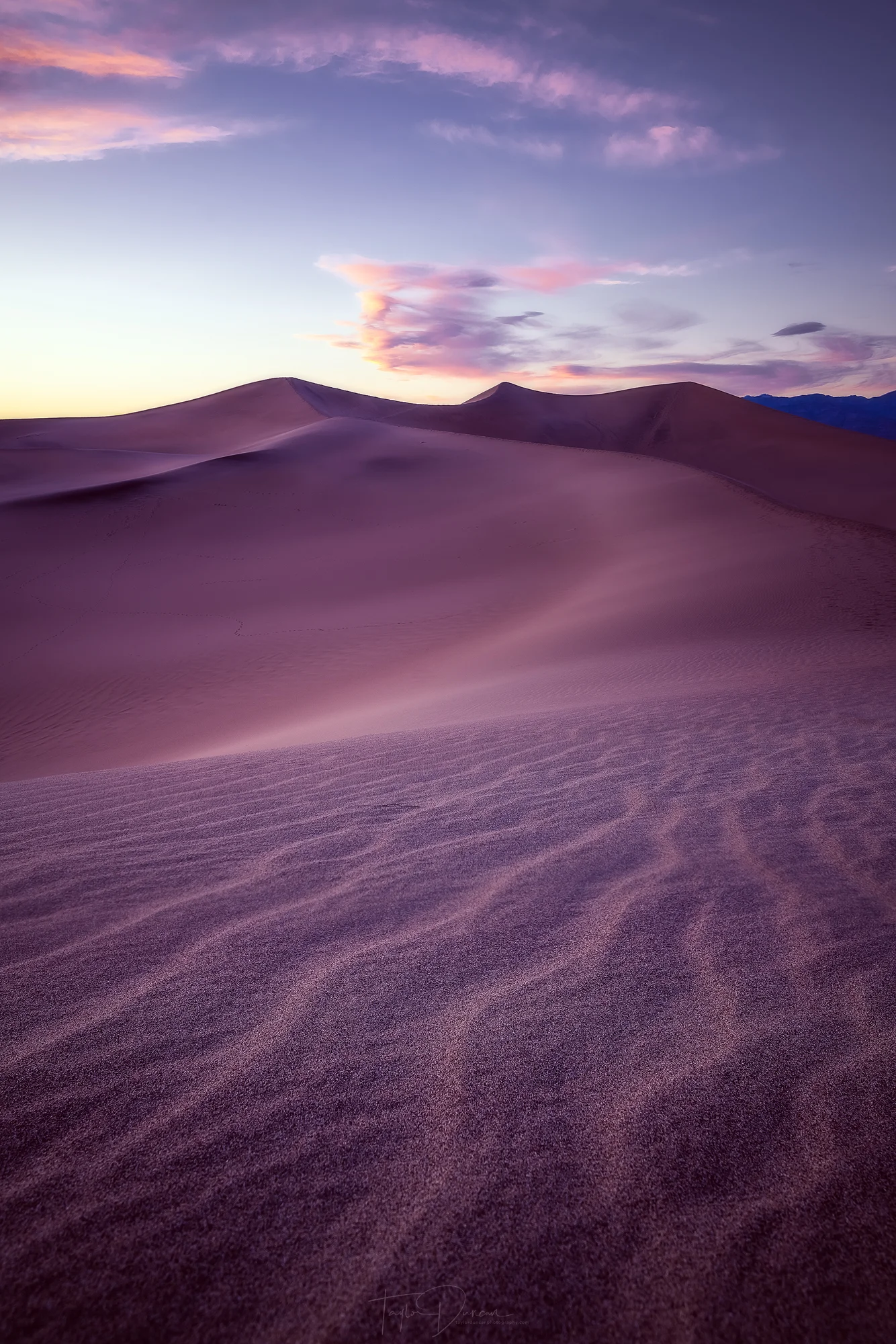 The dunes are incredible after the sun goes down!