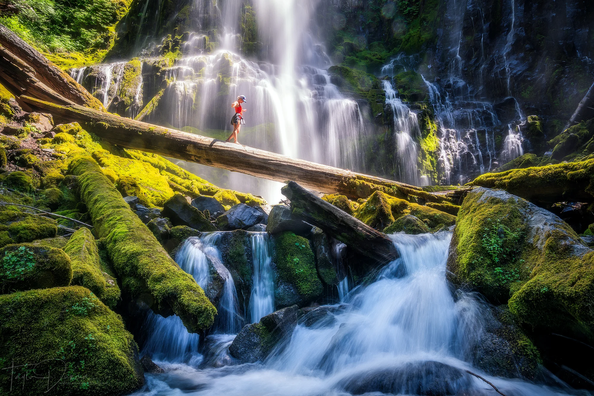 @heytaynels takes a stroll along the iconic log in front of the falls