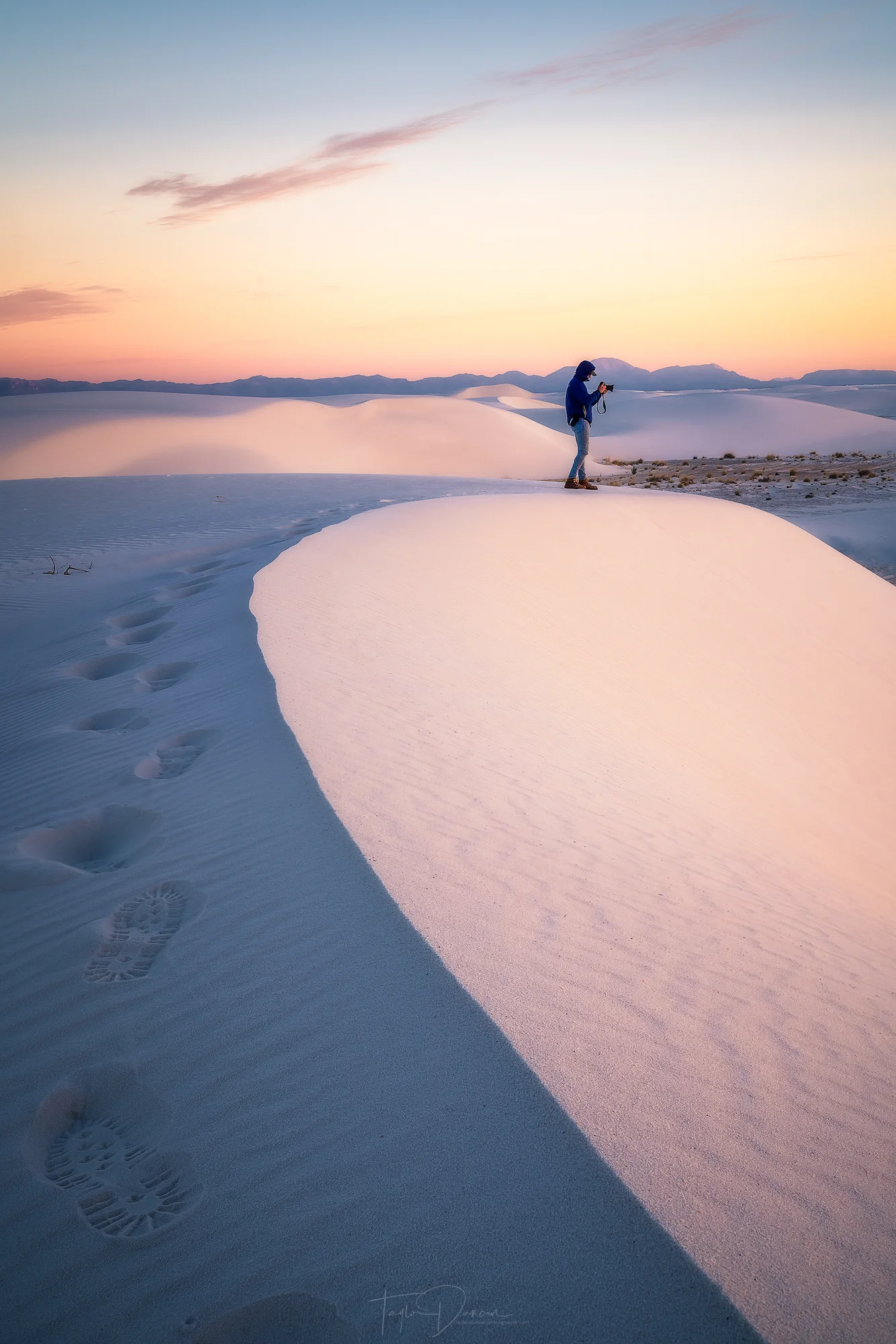 Morning Dune Photographer