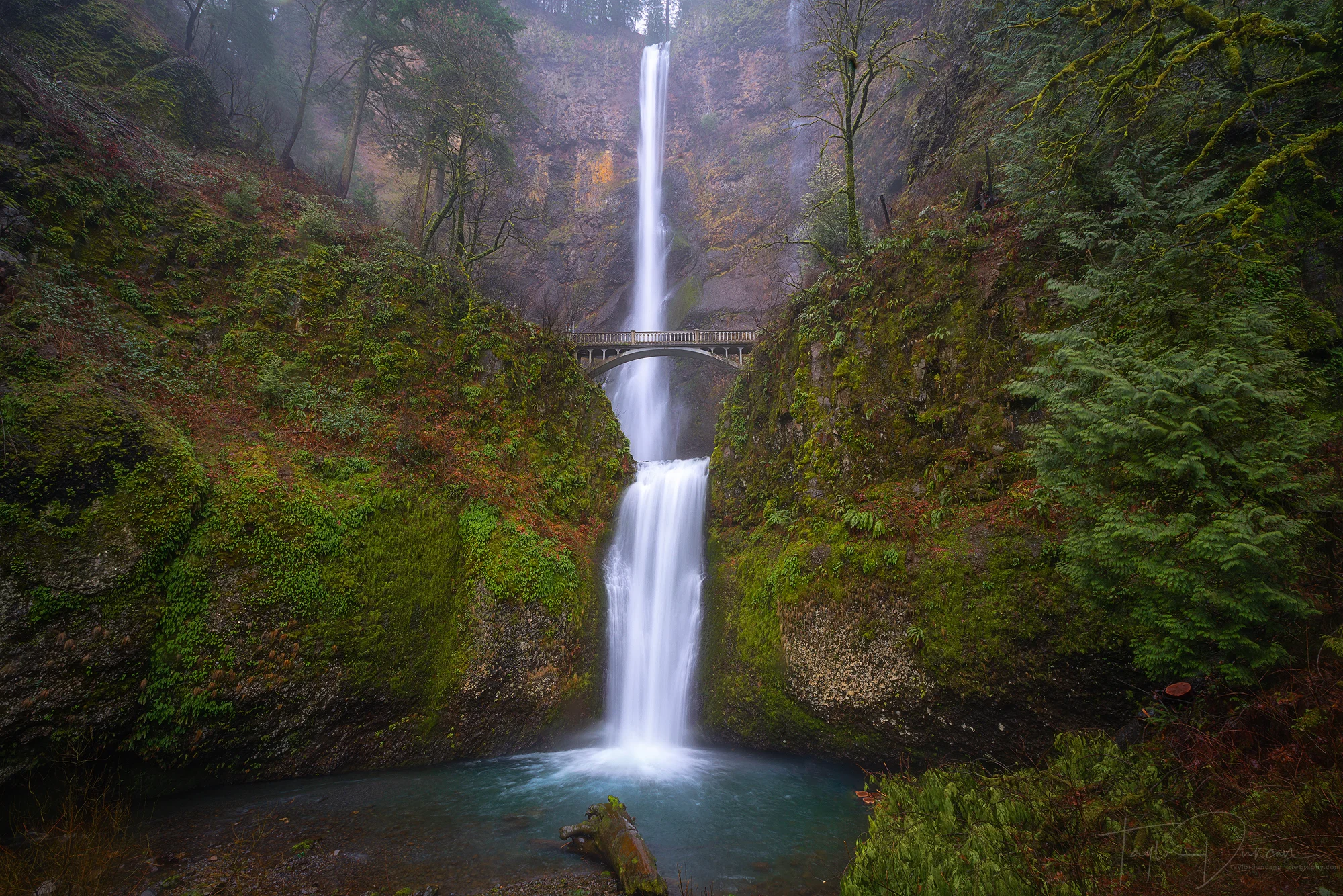 Multnomah