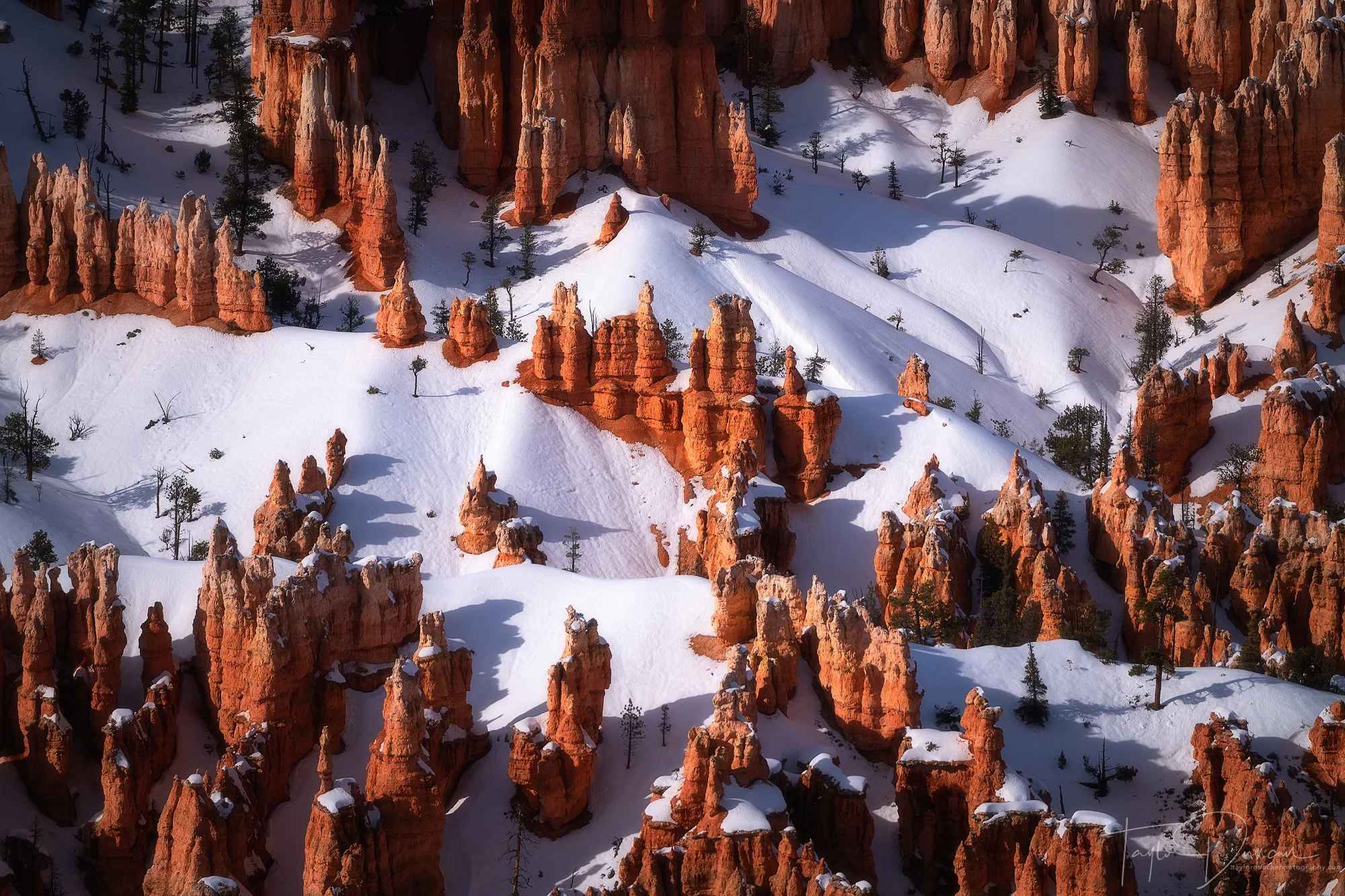 Snowy Hoodoos