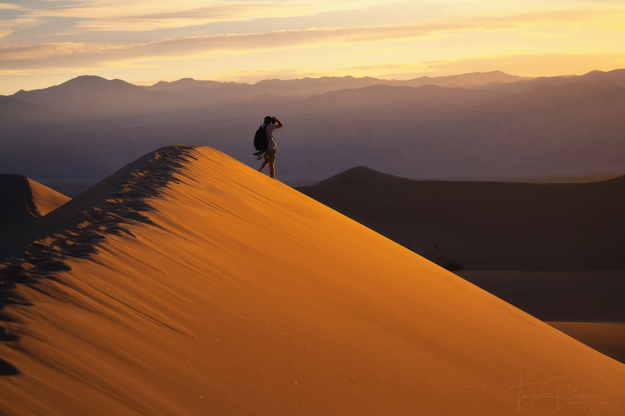 Dune Photographer