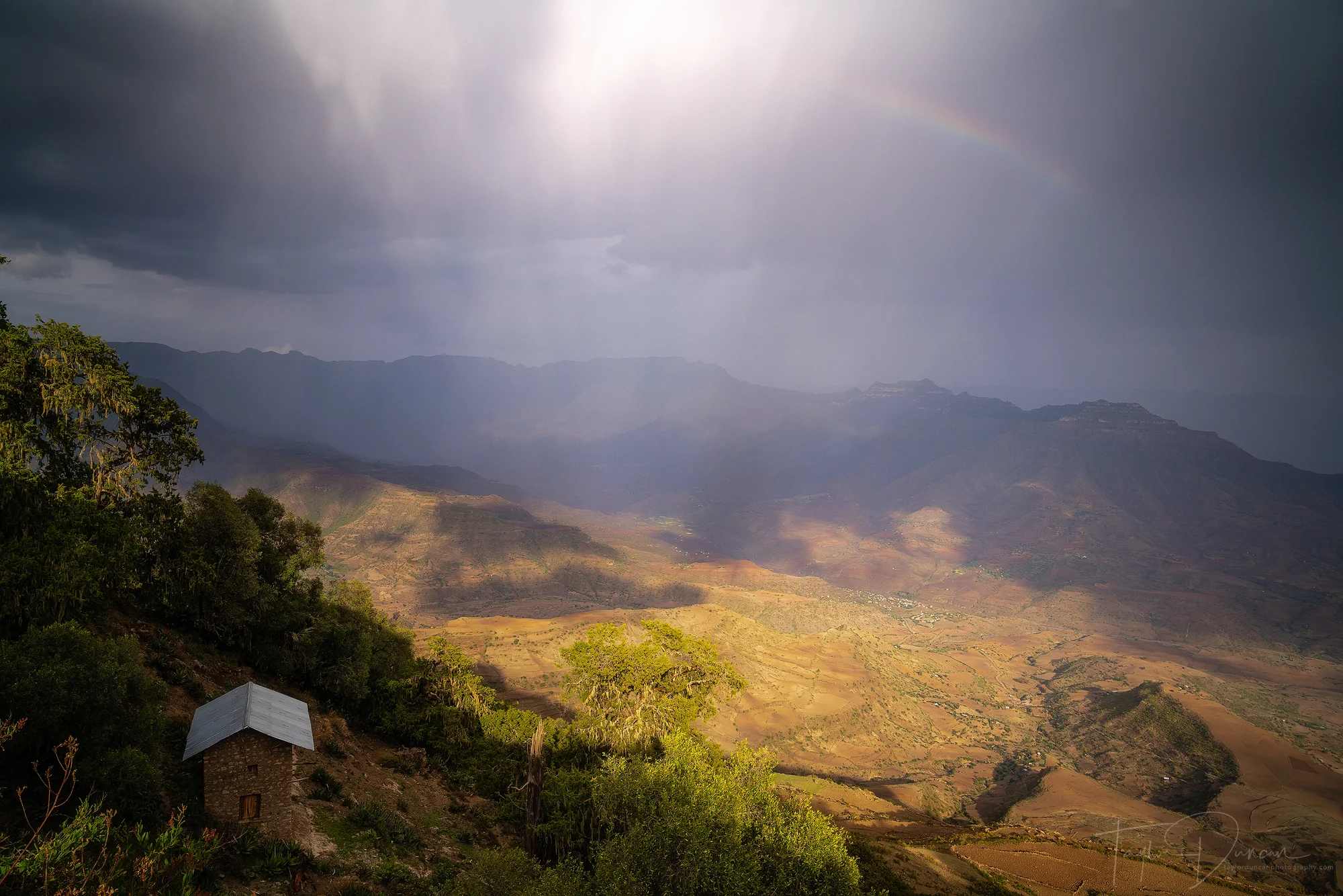 House with a View