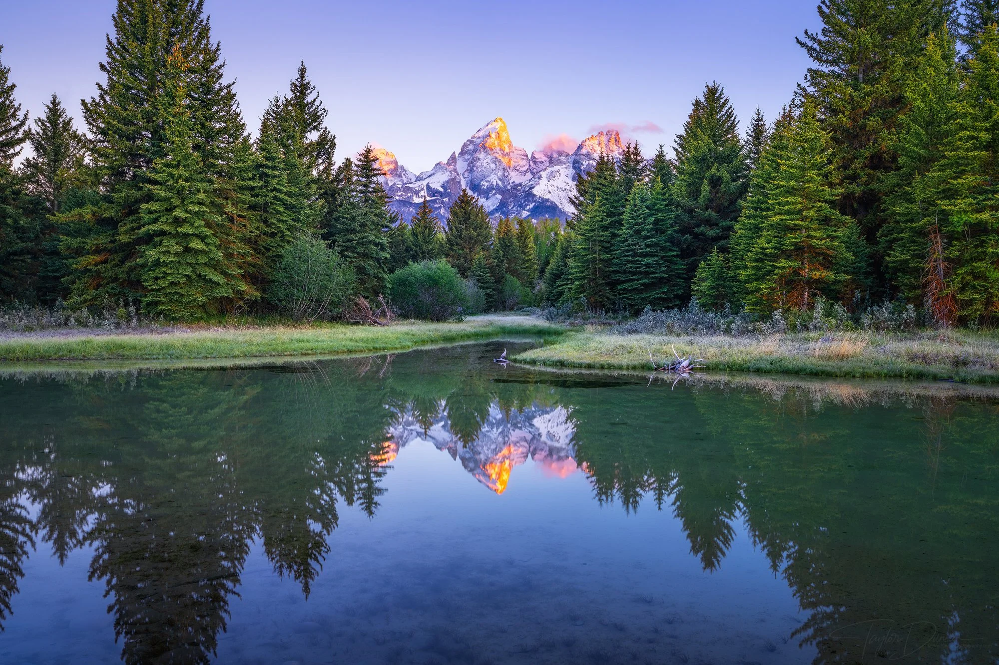 Teton Stillness
