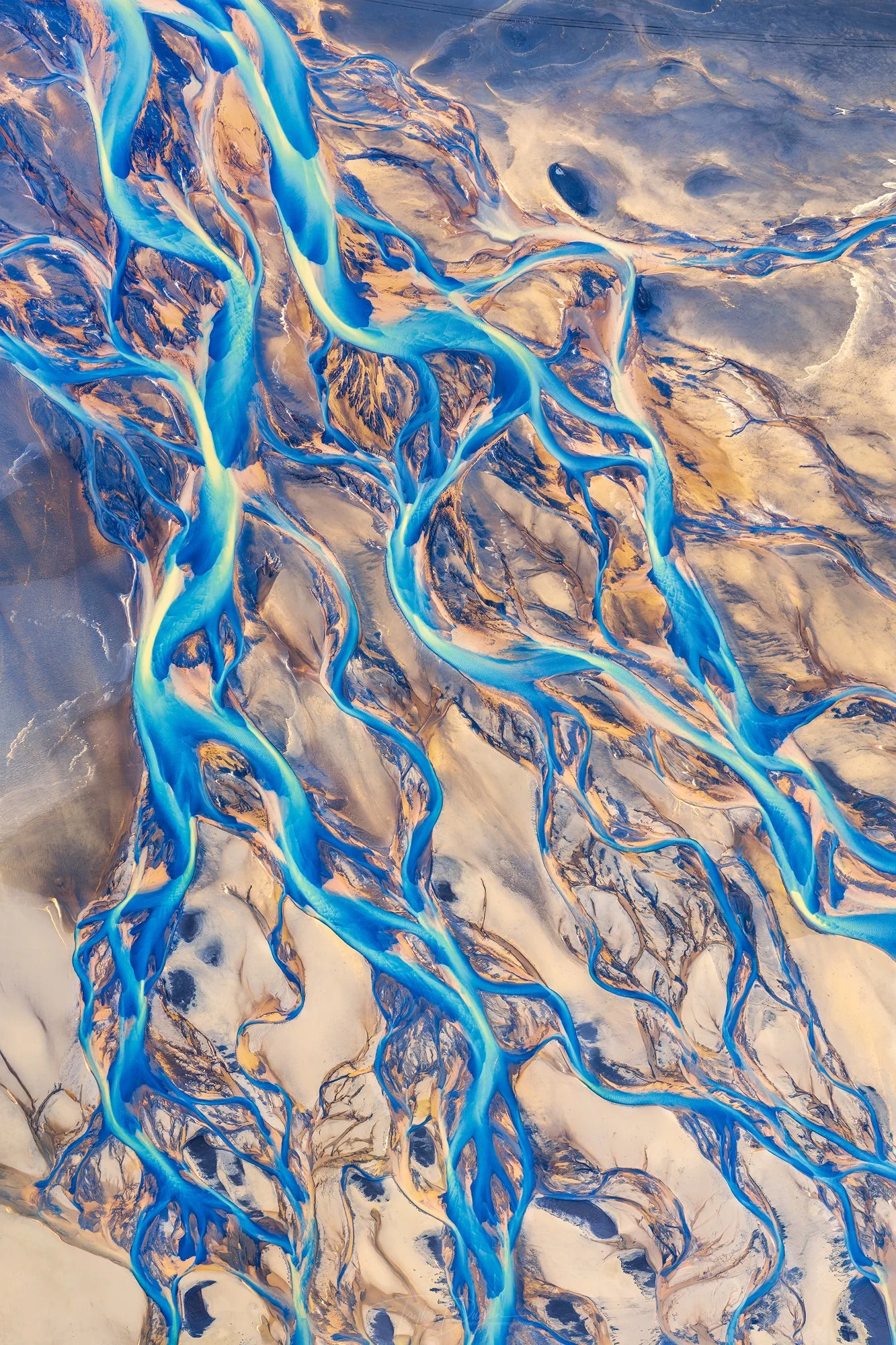 Blue Ribbons