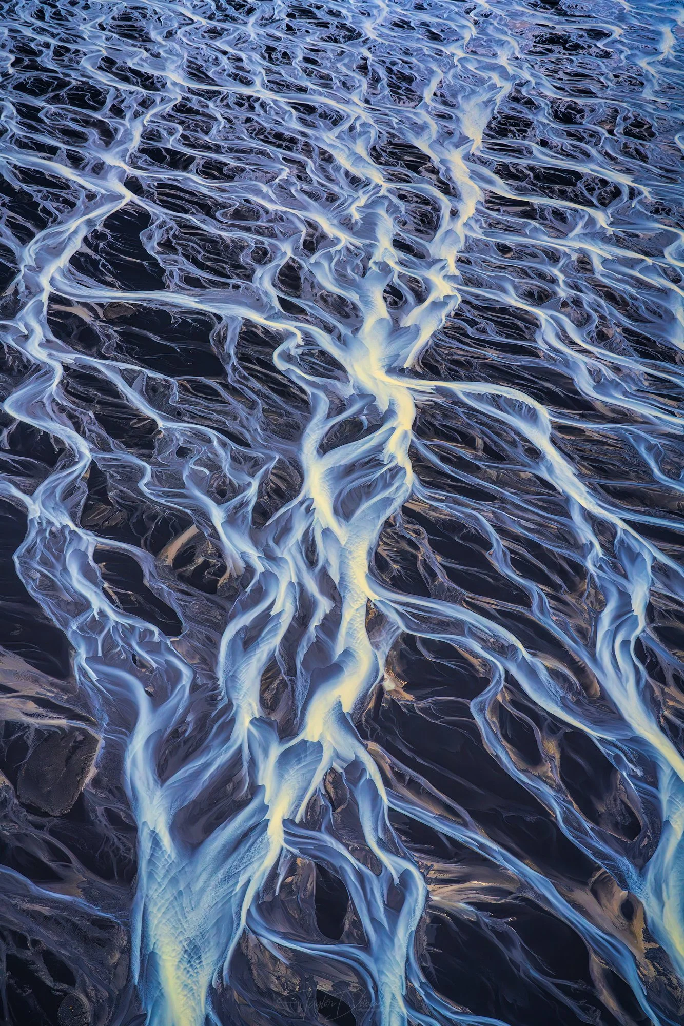 Neural Energy