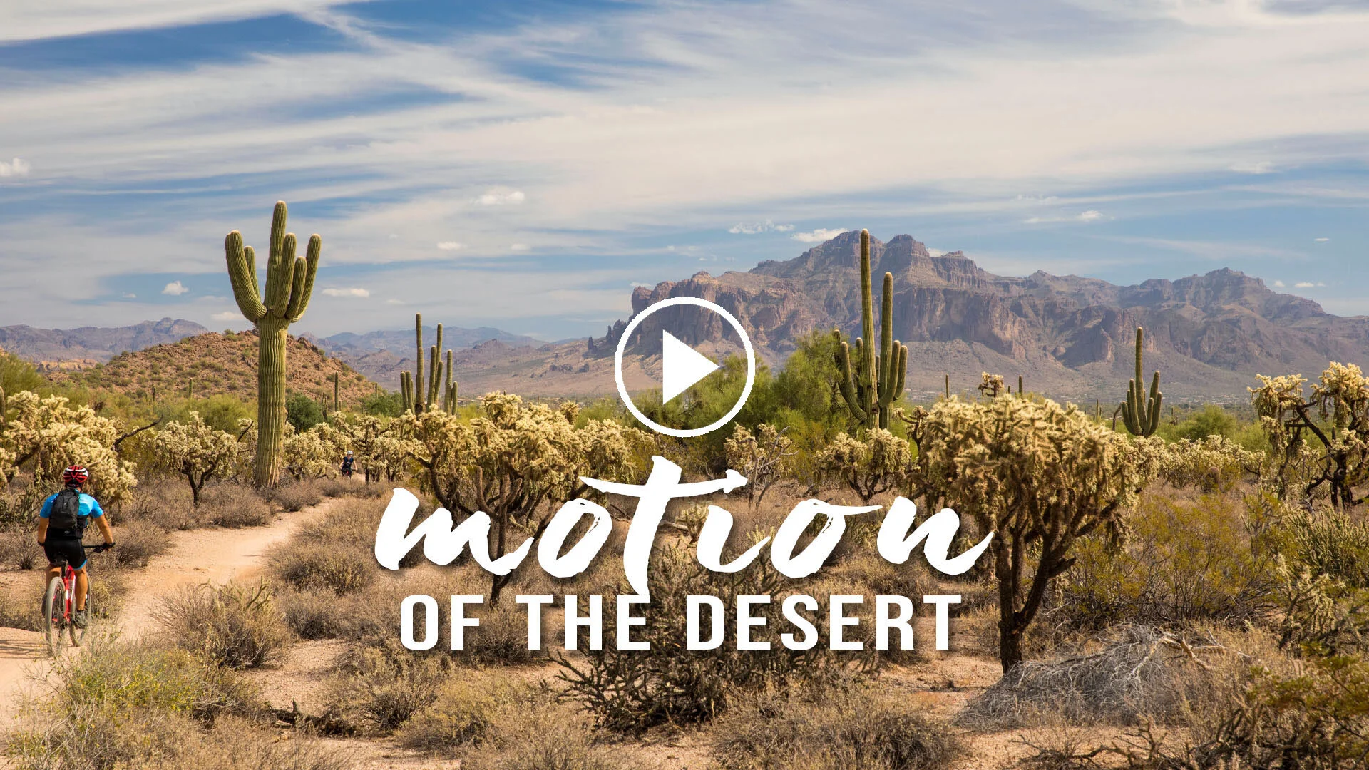 Motion of the Desert (Copy)
