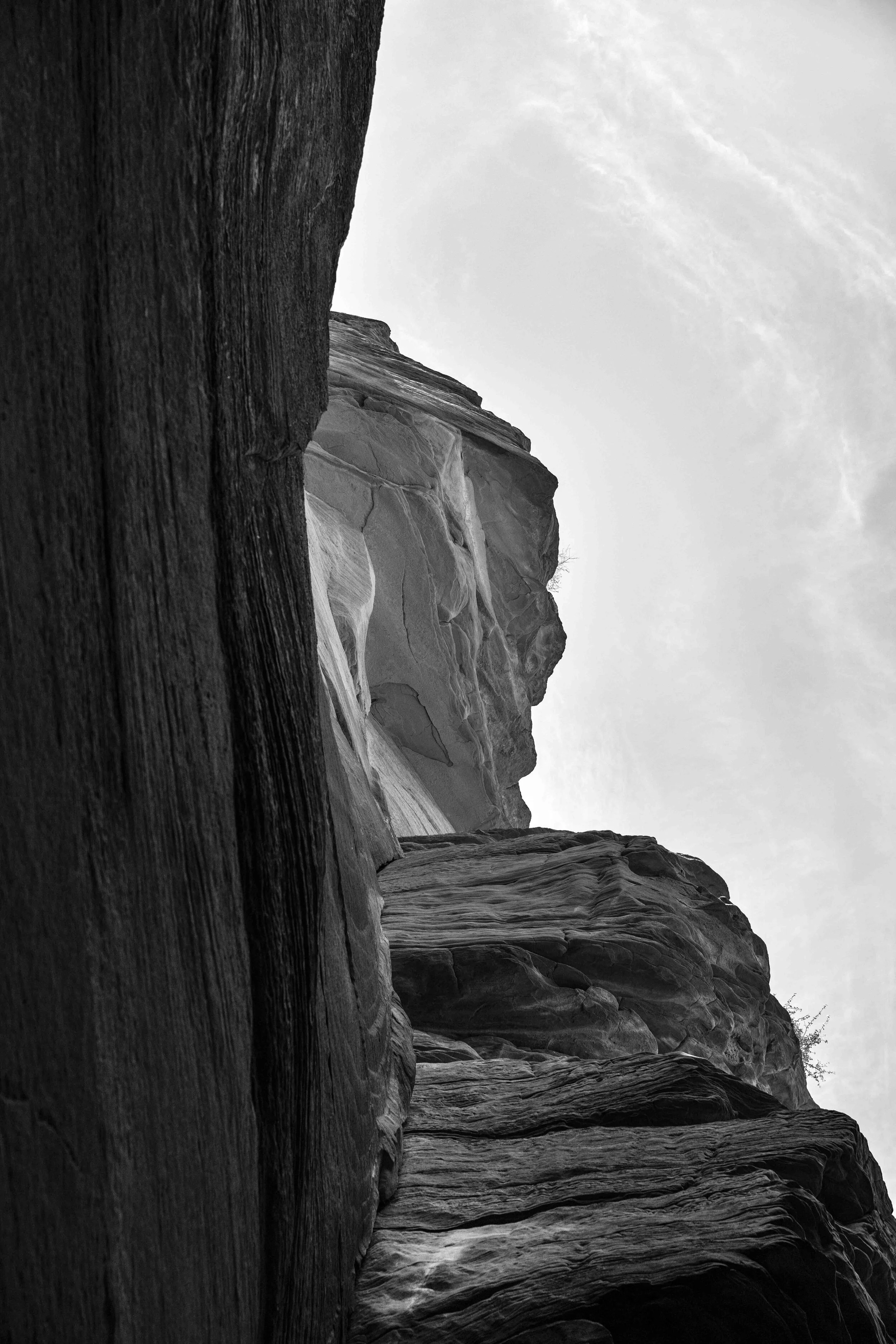 DSC00123_forweb.jpg