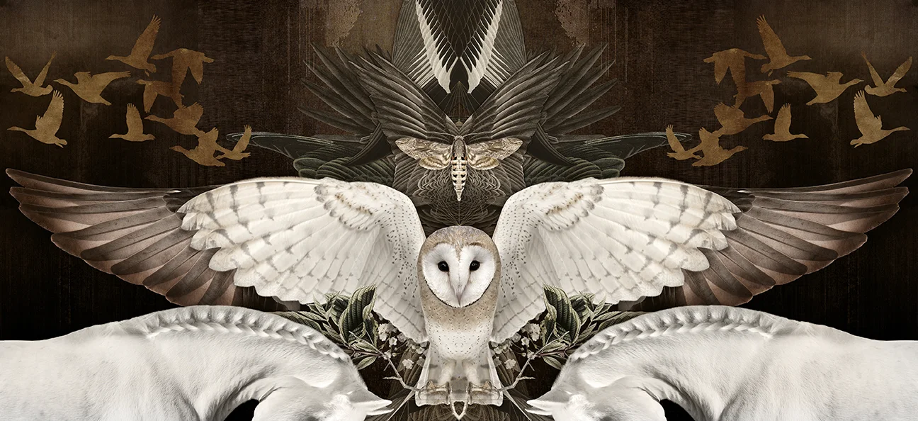 HorseAndOwl_LowRes.jpg