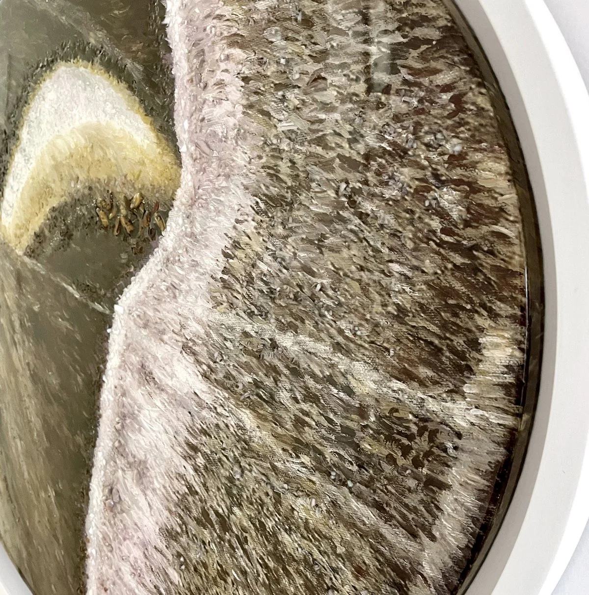 ButterflyMacro6LR.jpg
