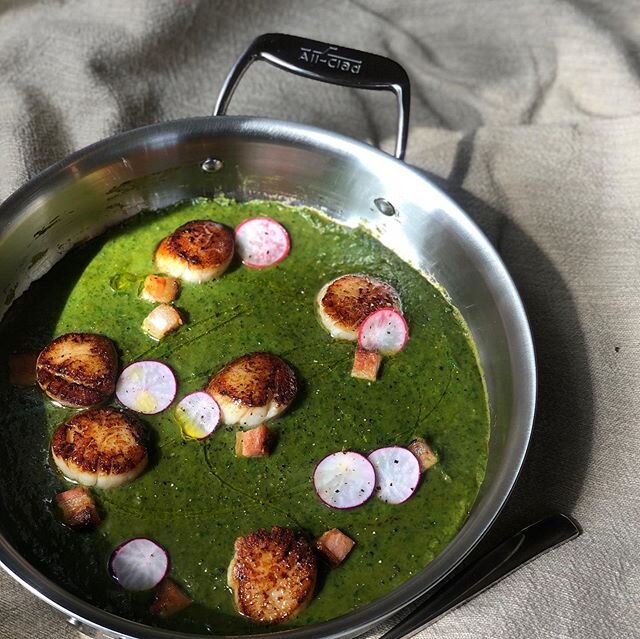 The key to beautiful scallops is a good sear. The key to a good sear is a solid pan. The All-Clad d5 Stainless brushed 4 qt weeknight pan now lives on my counter top. 
Seared scallops over white bean, garlic spinach purée, lardons and pickled radish