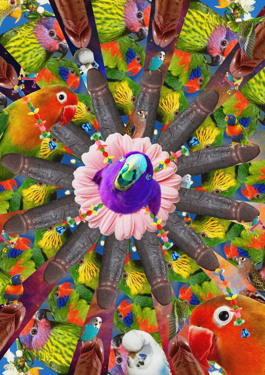  Polly is, finally, no longer wanting.