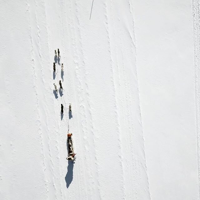 Dog sled from above. #dji