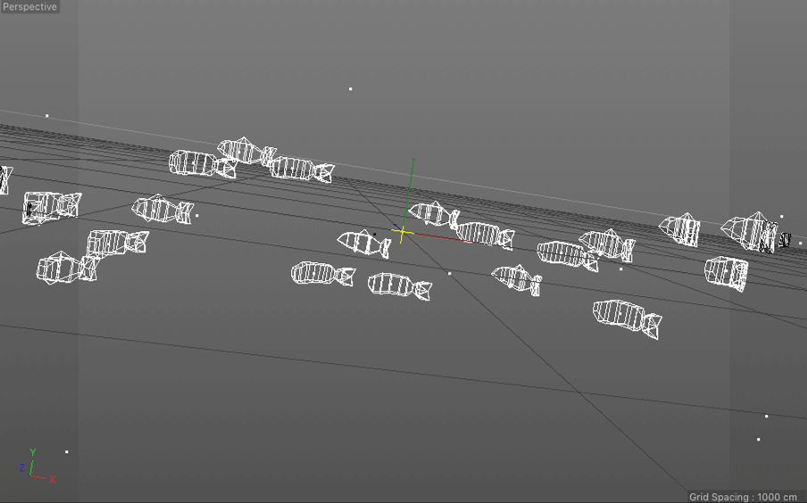 FishBack_Wireframe.gif