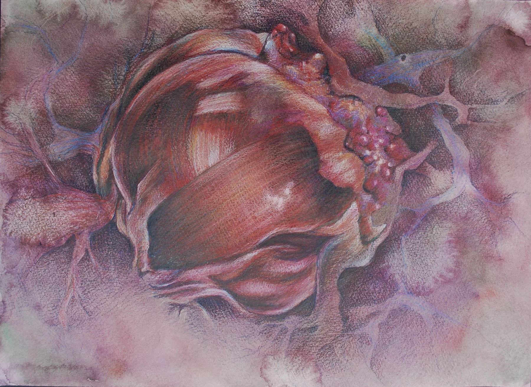  Unescapable Heart [Watercolor &amp; Colored Pencil] 