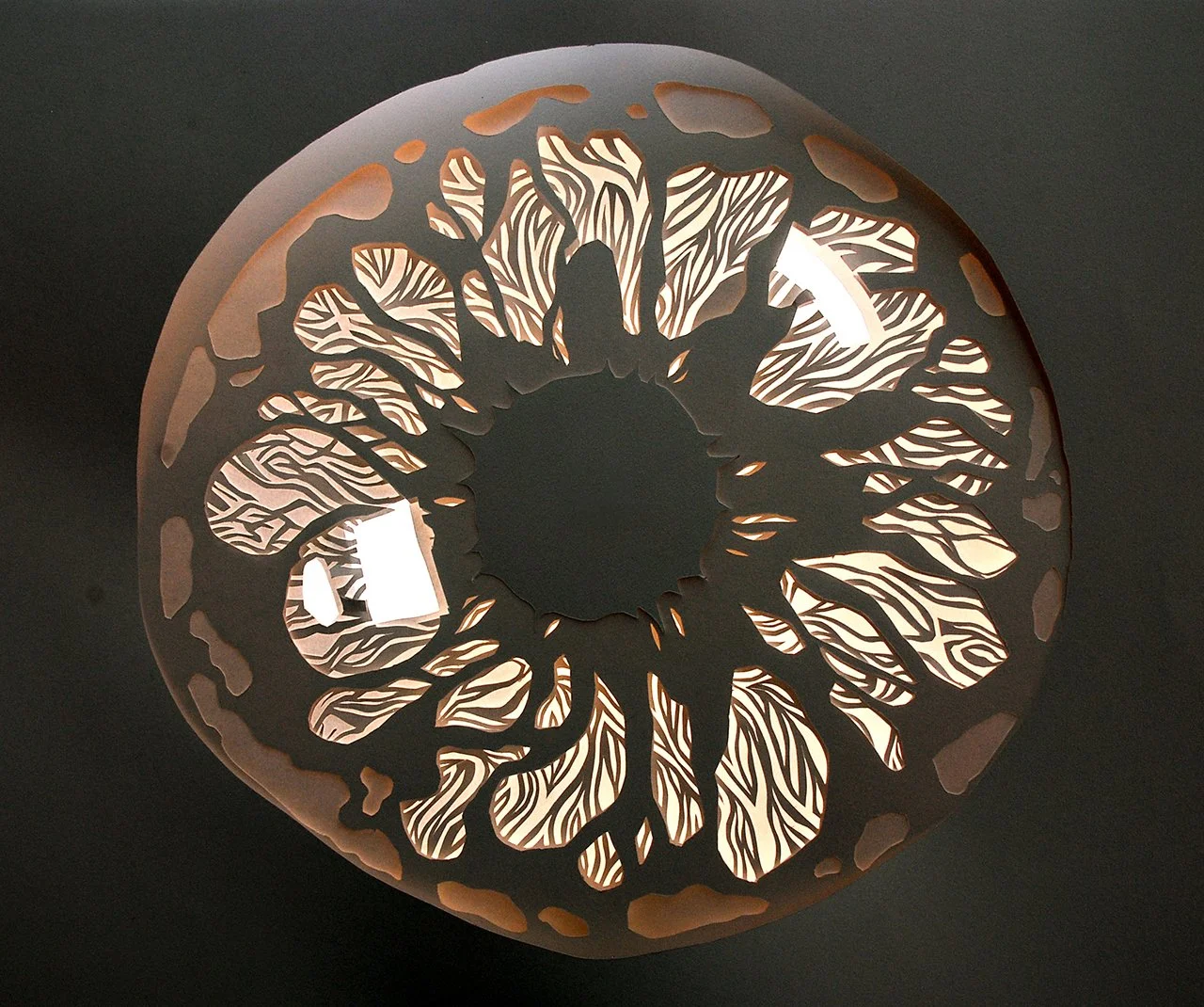  Iris [Layered Paper &amp; Light Source] 