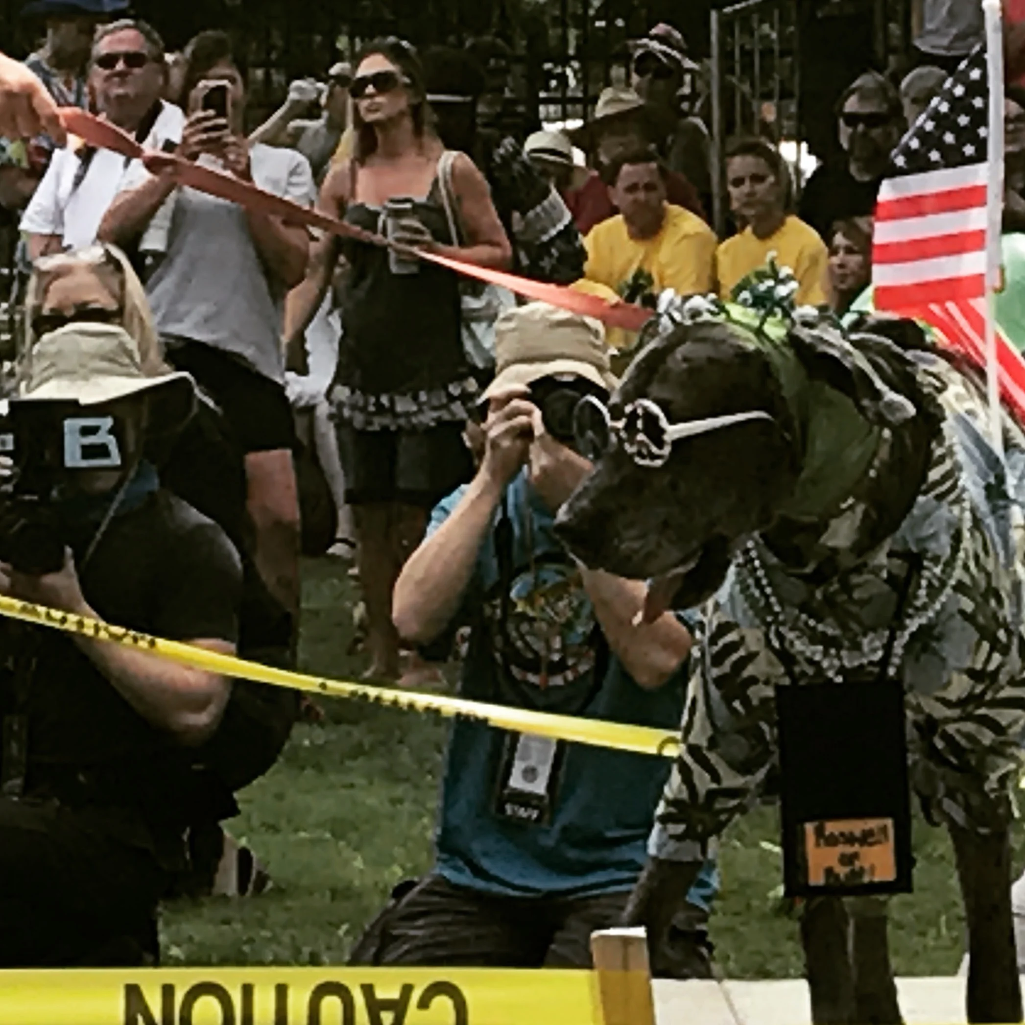 Alien Costume (pet) contest, Roswell, NM, July 1, 2017 © Andrew Stuttaford