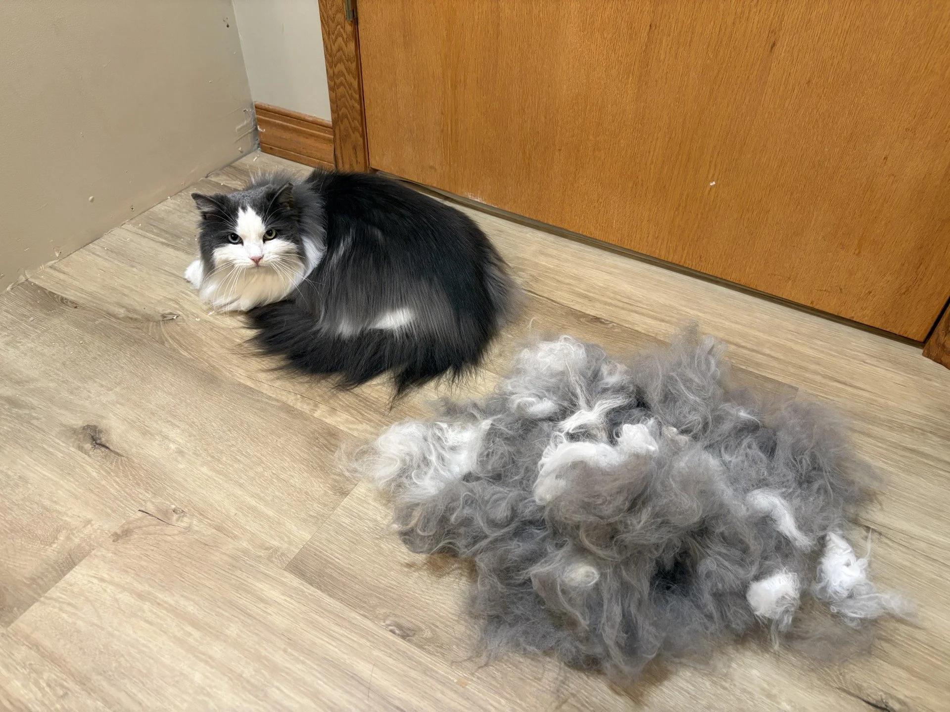 De-shed treatment