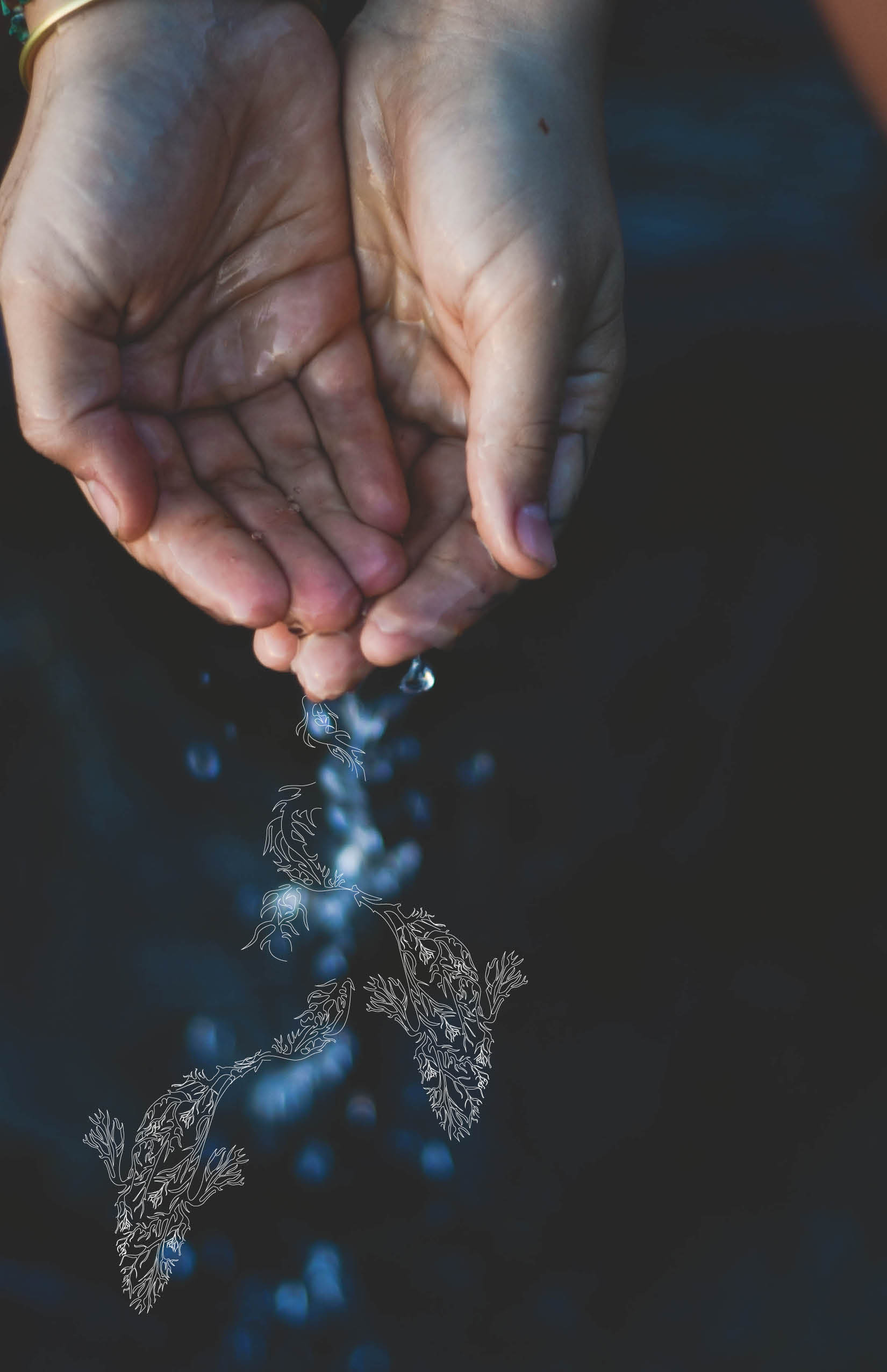 Travelling all over the world, shaping and transforming every particle she touches. Mother Nature this element to create and carry new concepts. Water, guided by its cosmic memory is an infinite source of knowledge. The force of water drives her ability to adapt. 