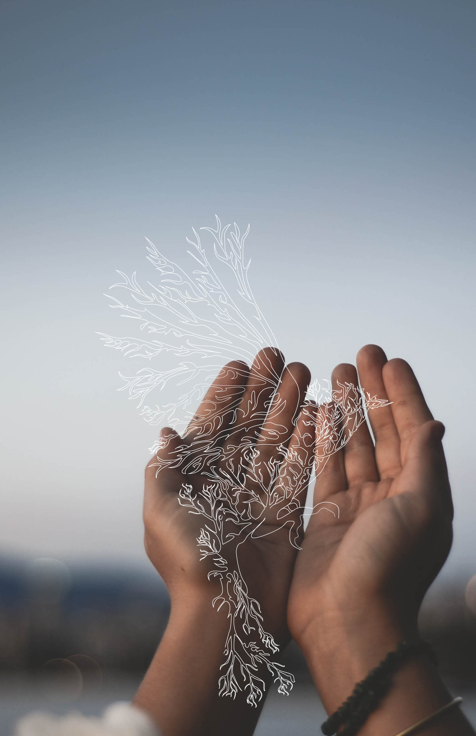 Air is the manifestation of movement, communication and intelligence. This element transports information from all dimensions. it provides a listening ability to Mother Nature, which in turn enables her to communicate with cleanness, frankness and straightforwardness. the details that Air carries to her consciousness guide her to be attentive.