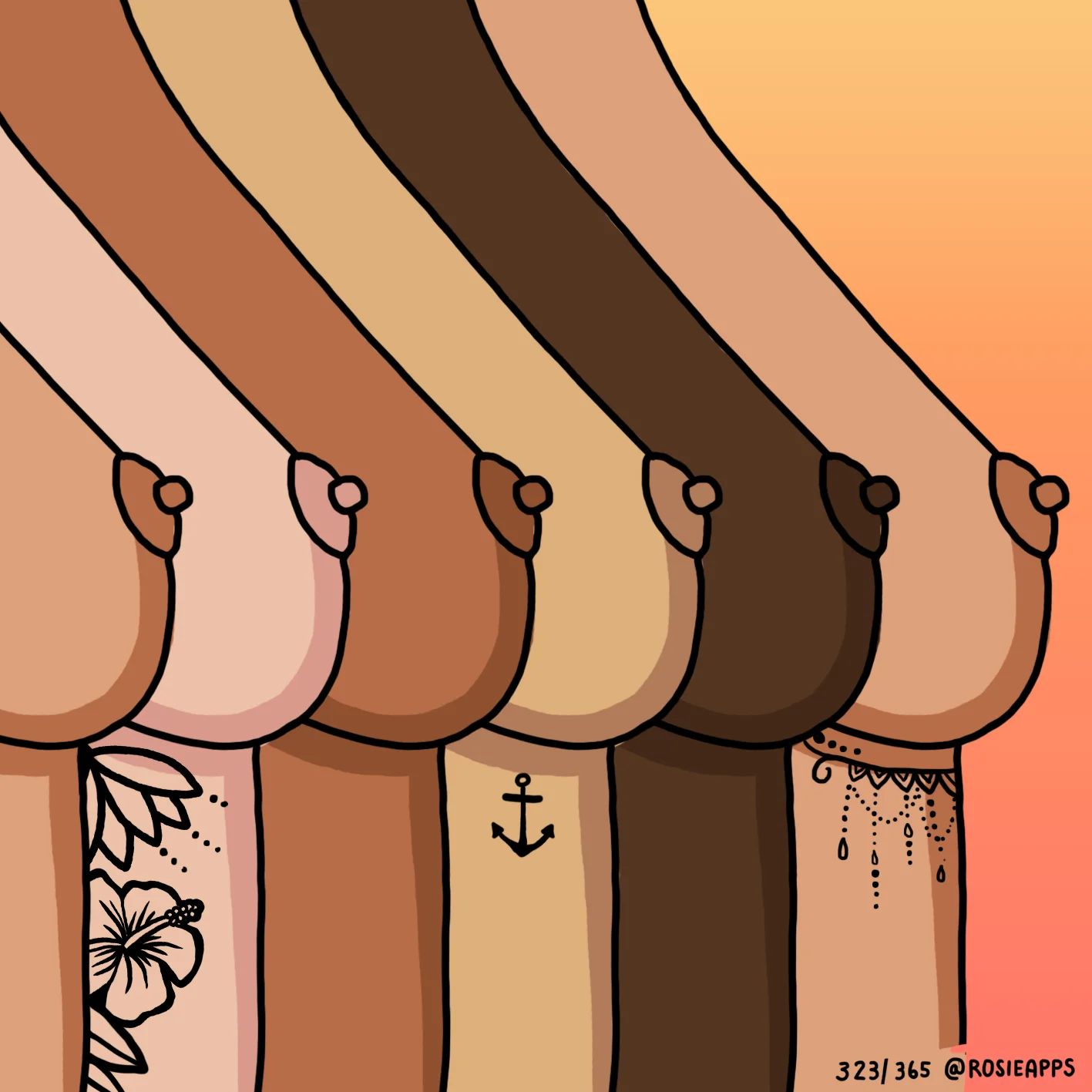 323.jpg