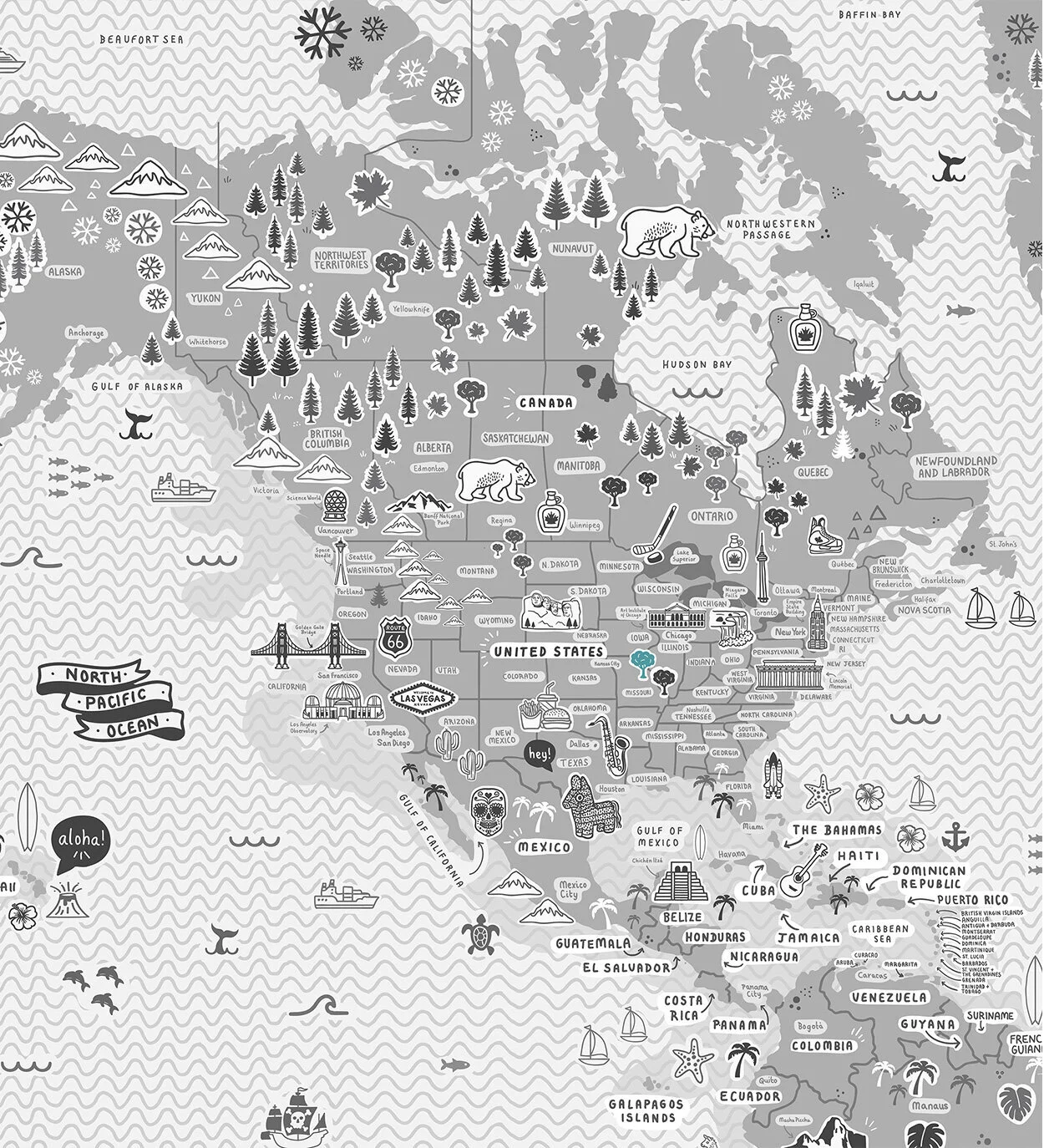 Rosie_Apps_WorldMap_Mono_USA.jpg