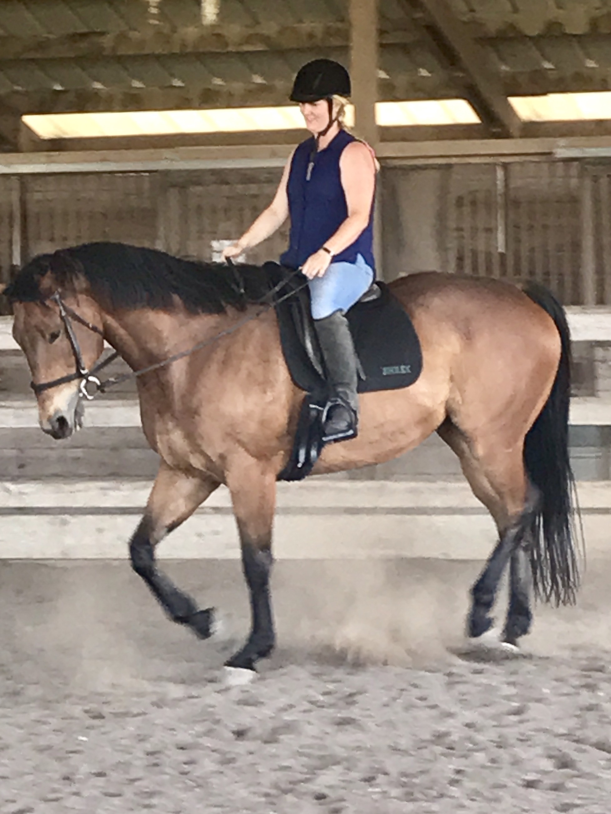 s Here is Phoebe Harper showing Mikey off. He is the reason we do this stuff! He rounds off so well and happily back to work! Be it easy work!