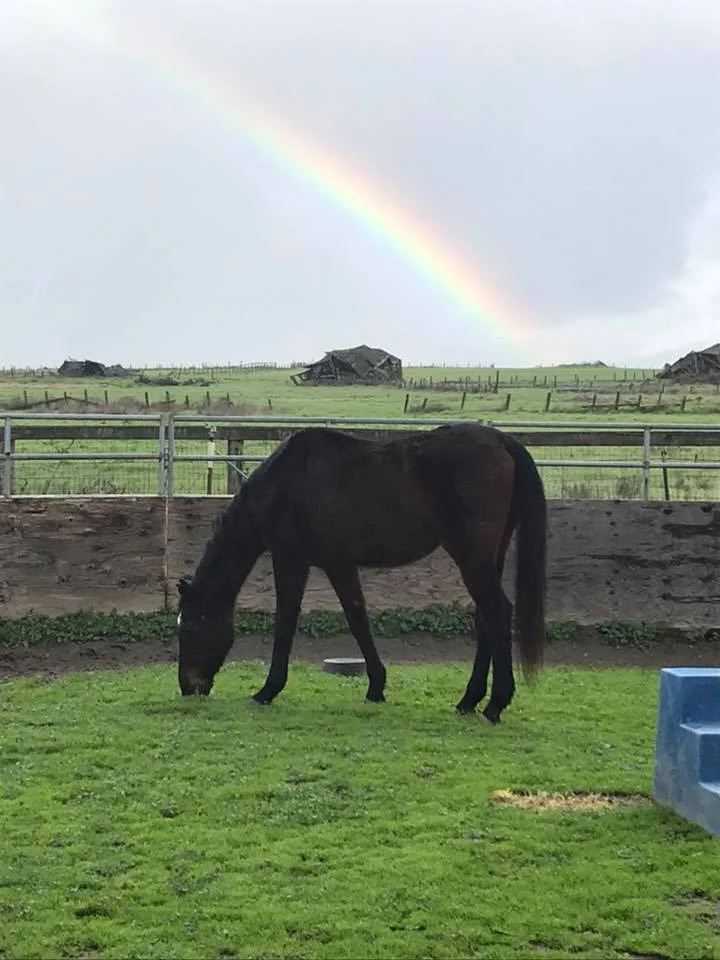 1 week and 1/2 later! Watson thriving
