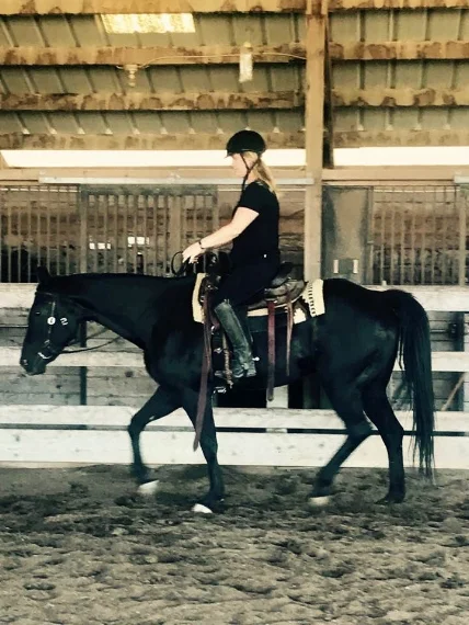Kid was adopted by a local family who will enjoy many happy trail rides on the Poco Bueno Kid!