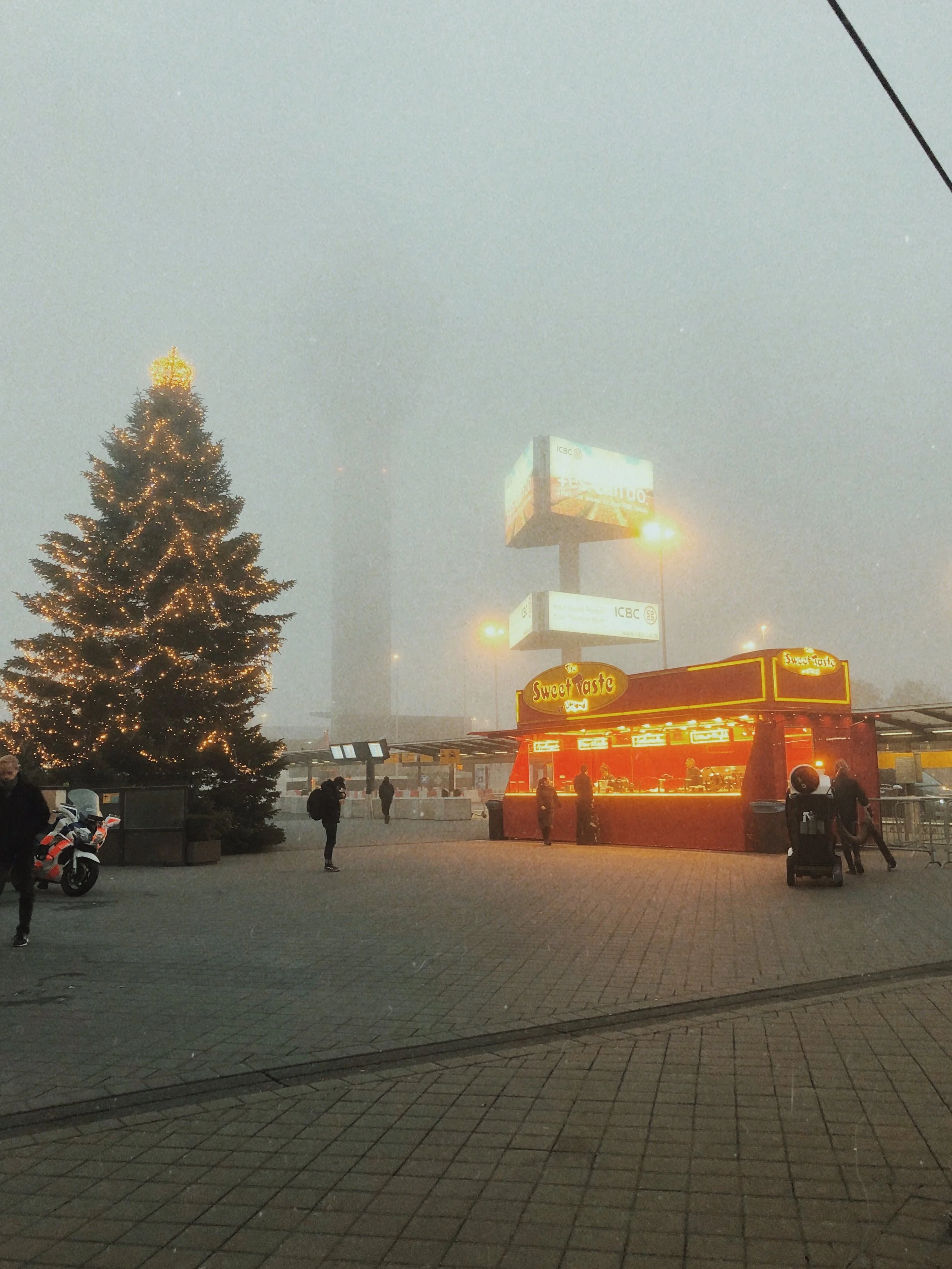 IMG_3983.jpeg