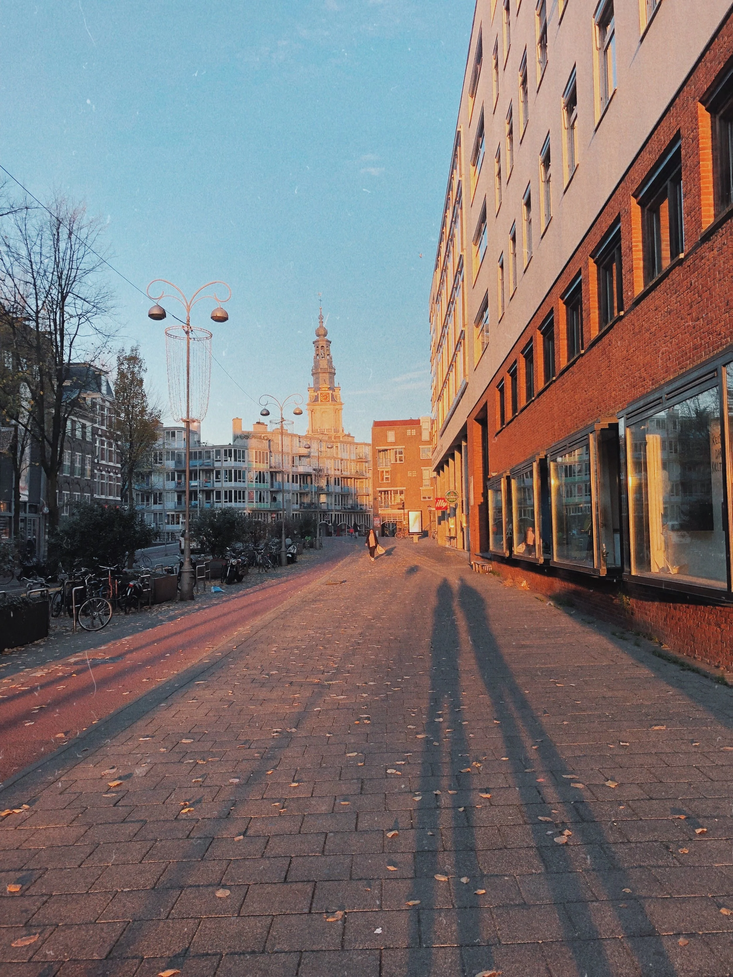 IMG_4006.jpeg