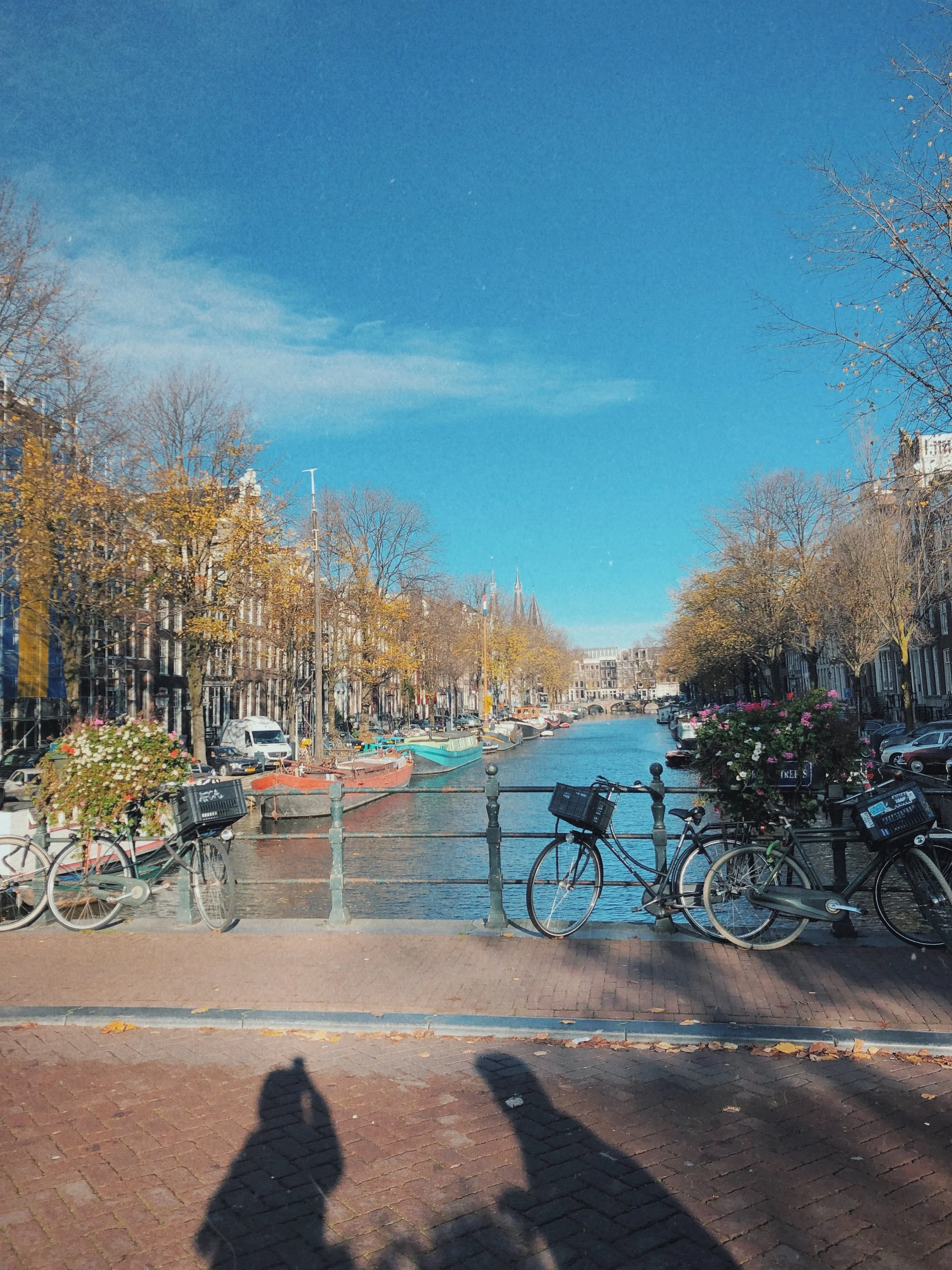 IMG_4019.jpeg