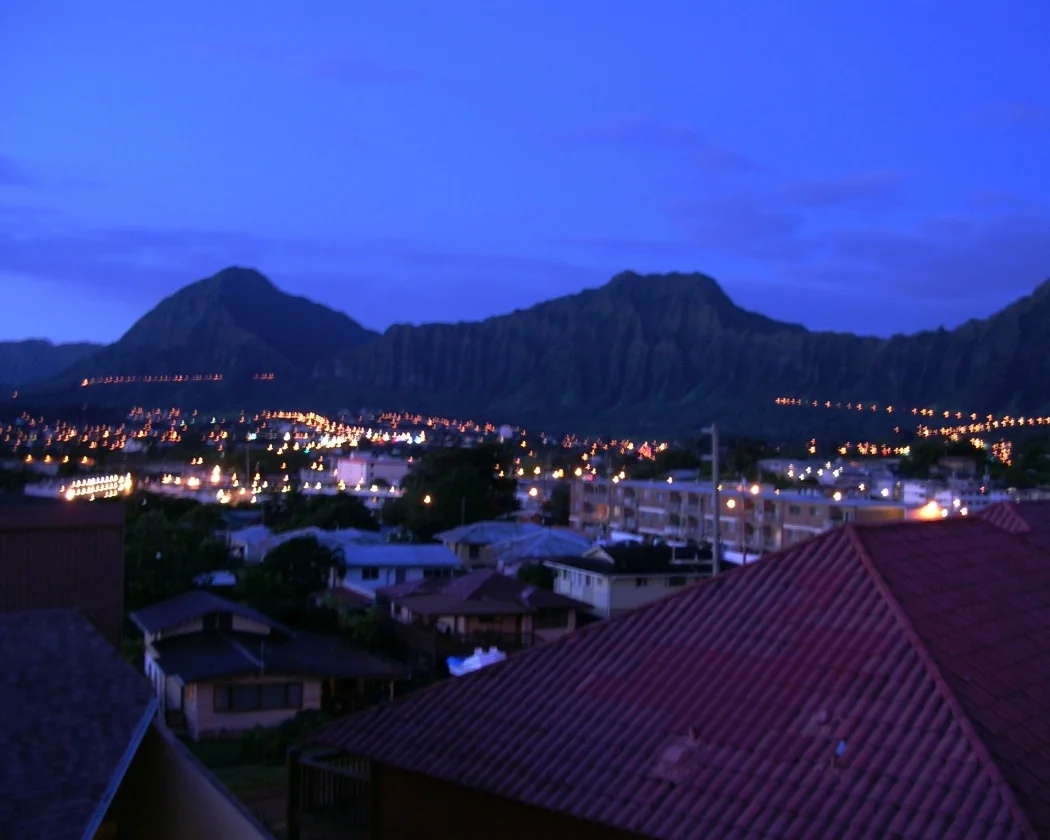 Purple Mountains Majesty