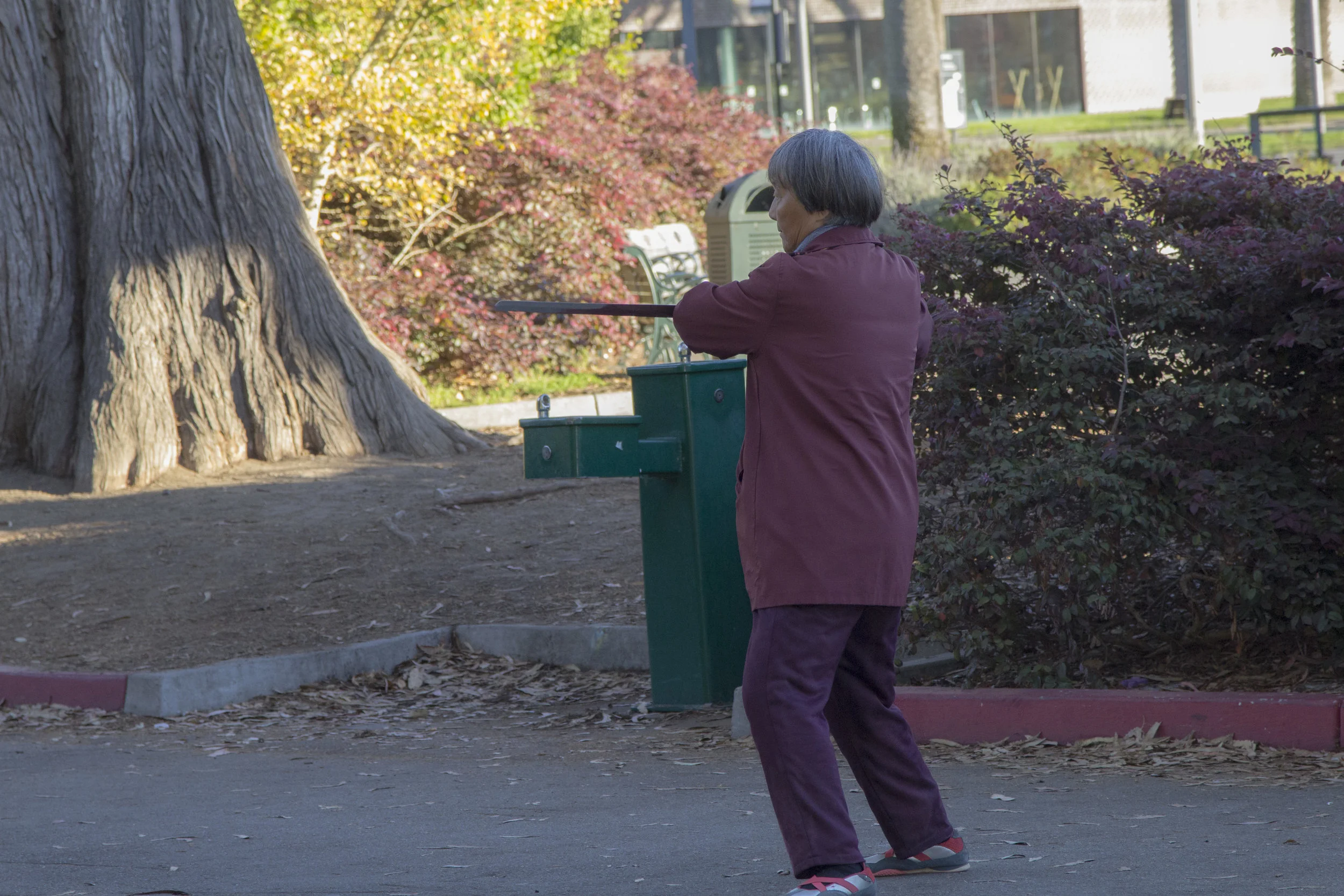 (Golden Gate Park. San Fransisco, CA)