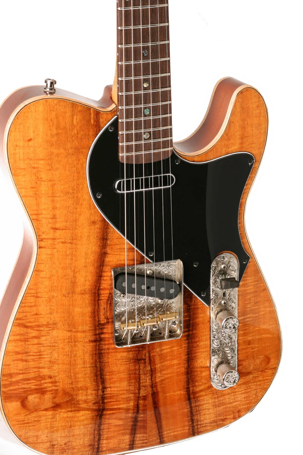 WILLIAM TELE CLOSEUP_halfsize.jpg