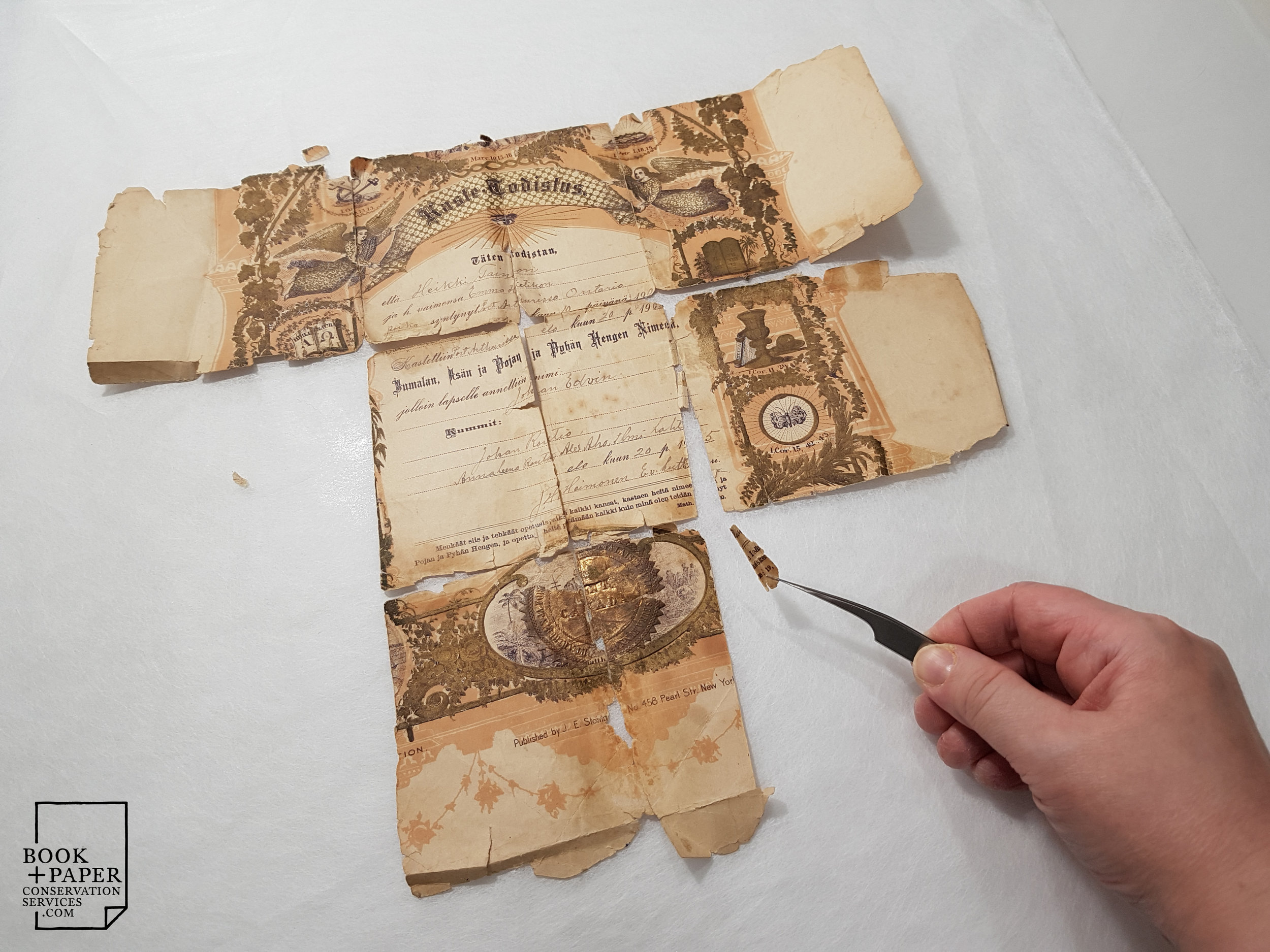 Preserving Old Books  Archival Preservation & Conservation Explained
