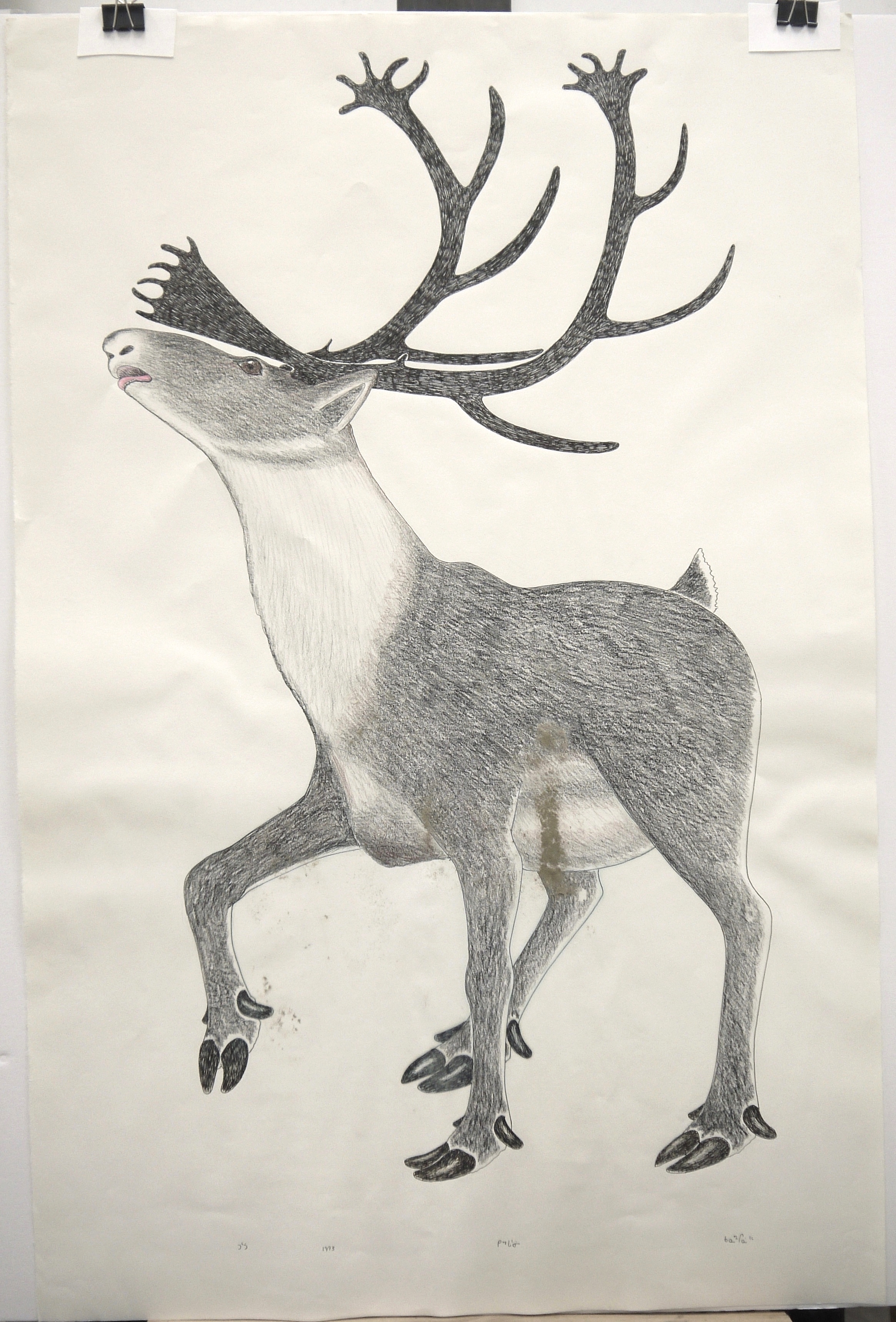 Stag Inuit Drawing - Before Conservation Treatment