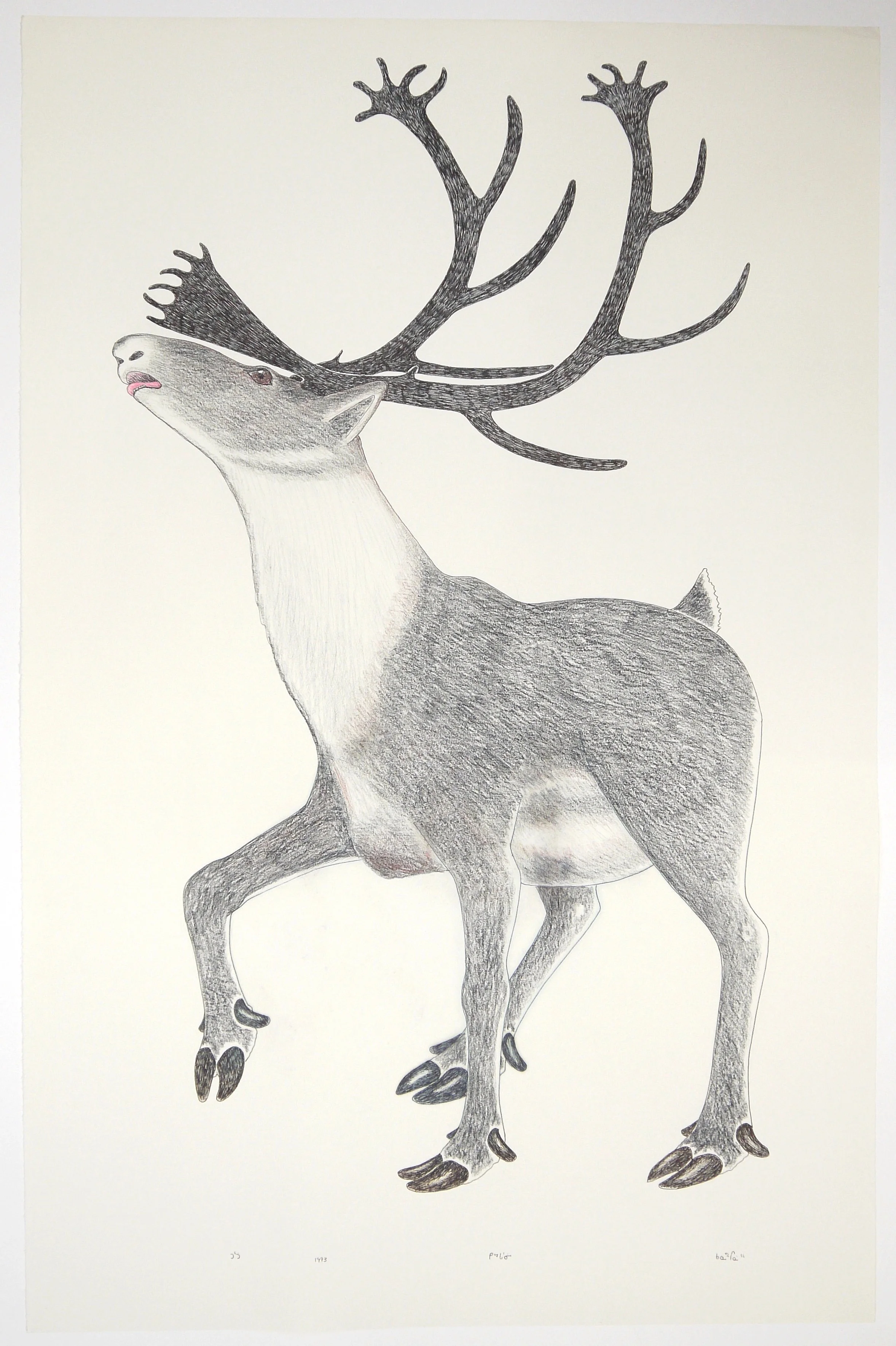 Stag Inuit Drawing - After Conservation Treatment