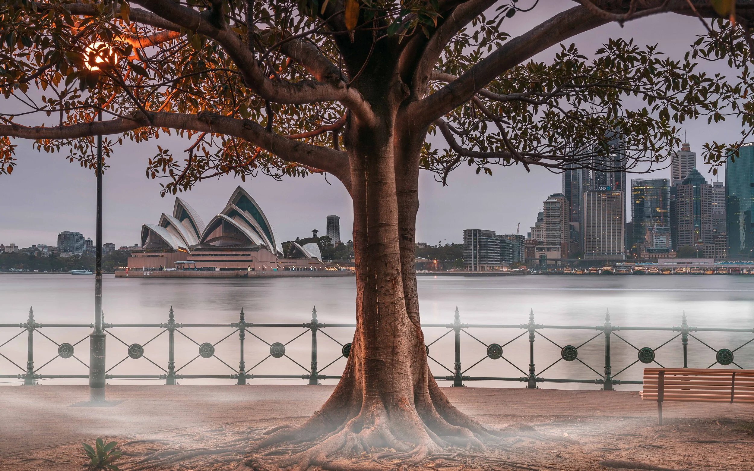 Milsons Point, Sydney - New South Wales
