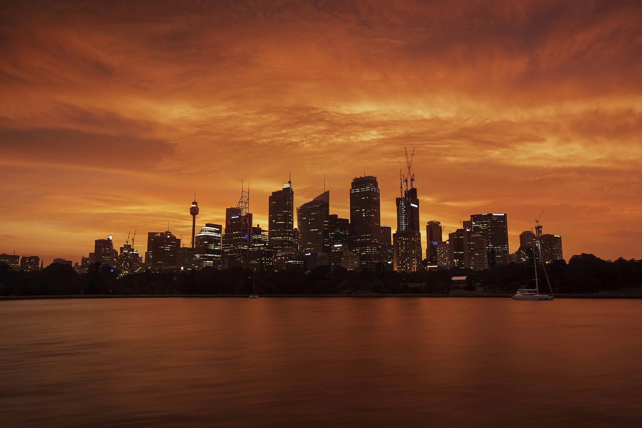Royal Botanic Gardens, Sydney - New South Wales