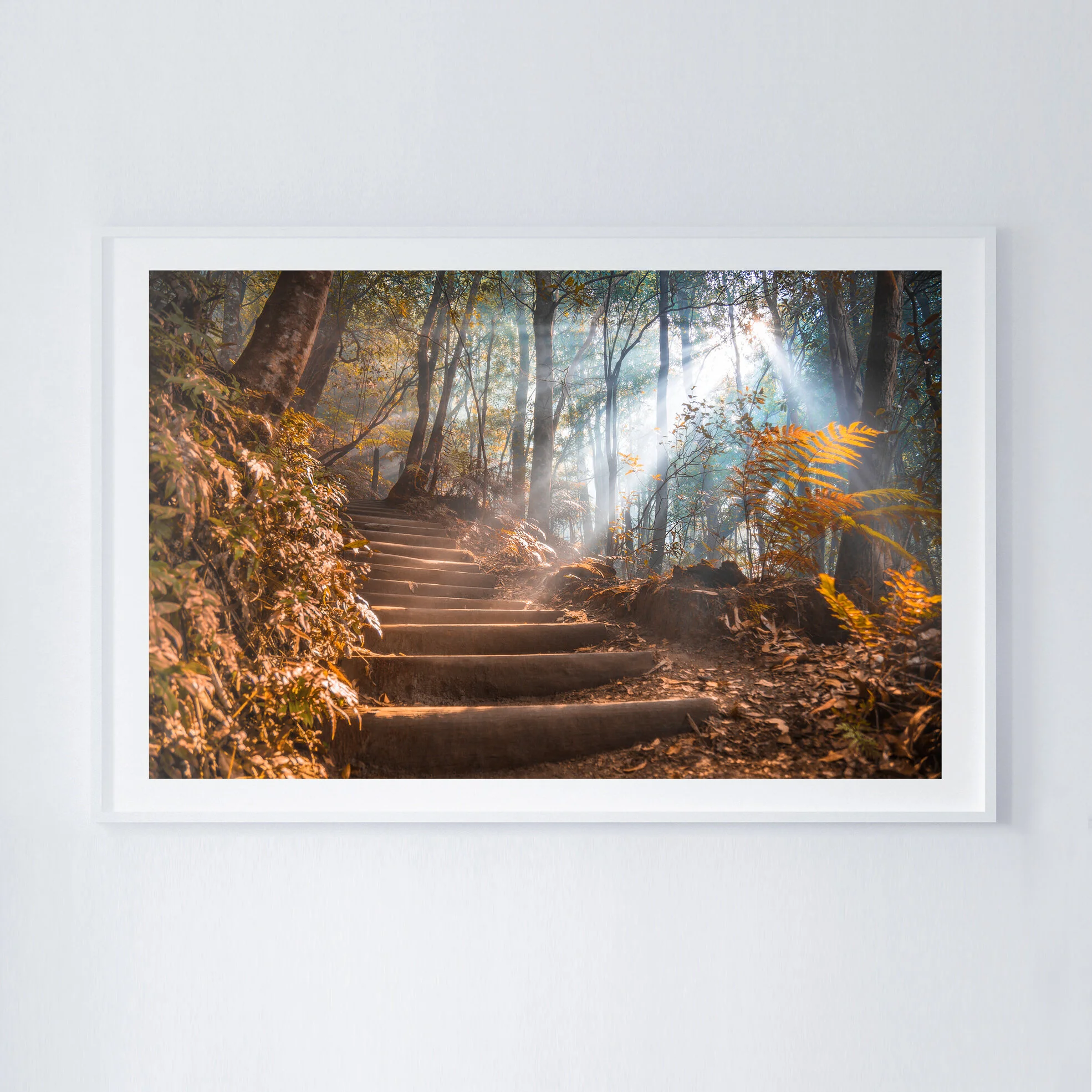 1X1 BLUE MOUNTAINS STAIRS FRAMED.JPG